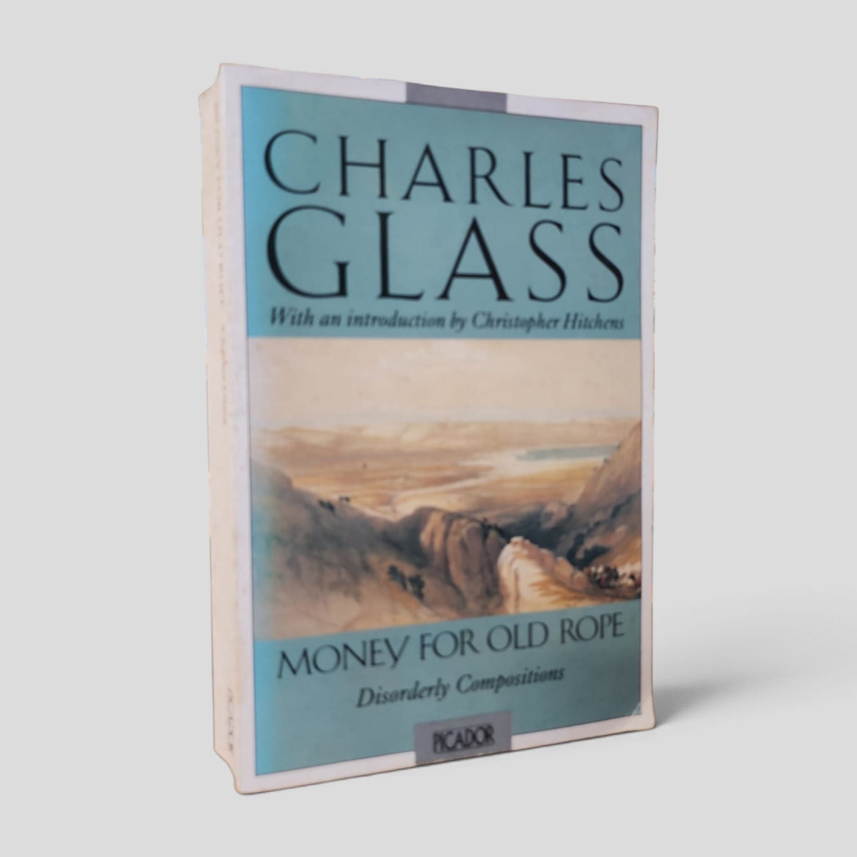 Front cover of Money for Old Rope by Charles Glass — actual used copy.