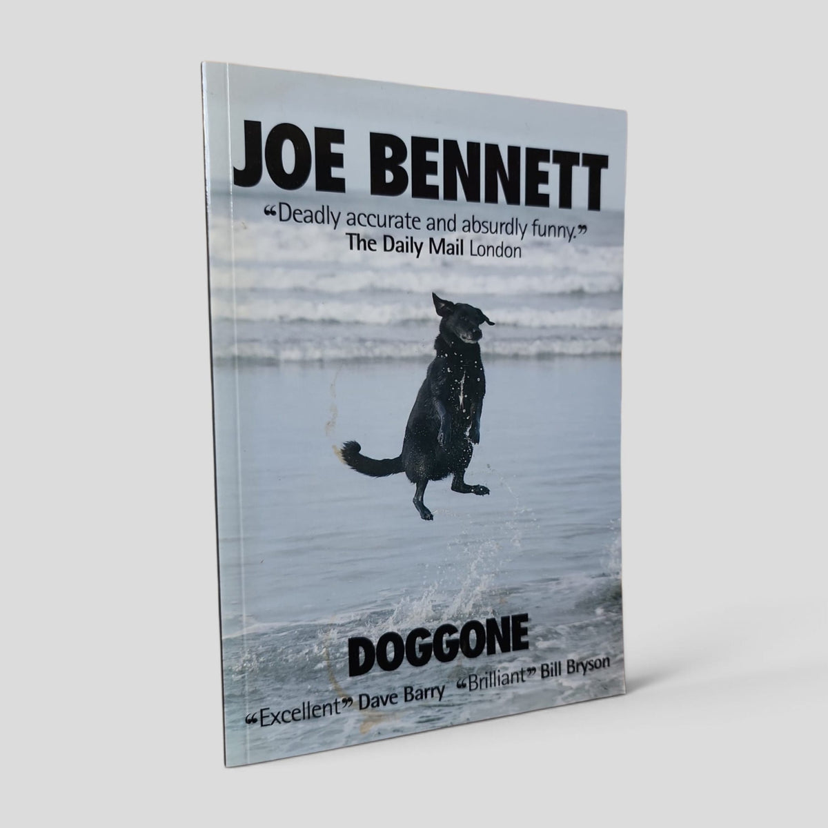 Front cover of Doggone by Joe Bennett — actual used copy.