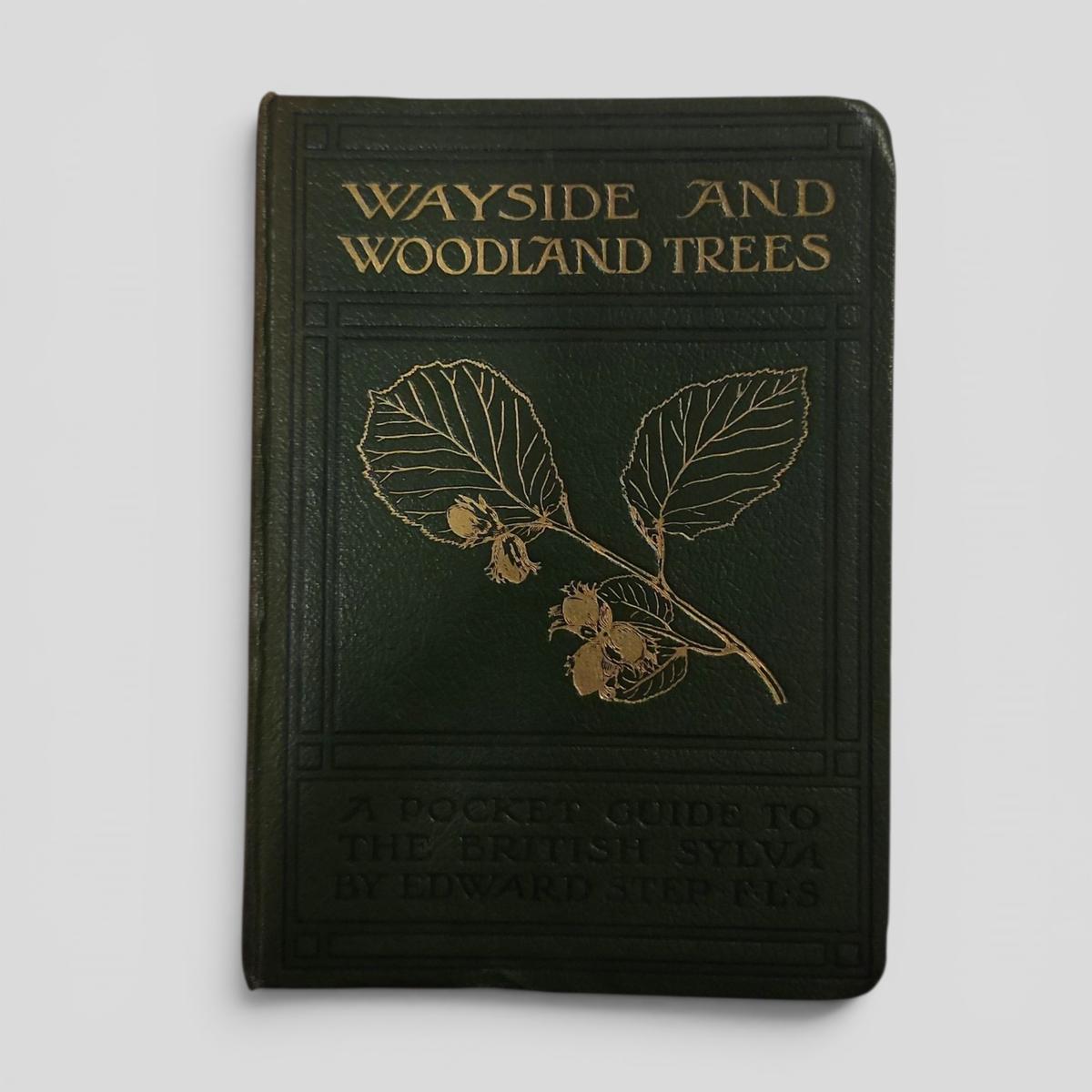 Wayside and Woodland Trees by Edward Step, F.L.S. - book cover
