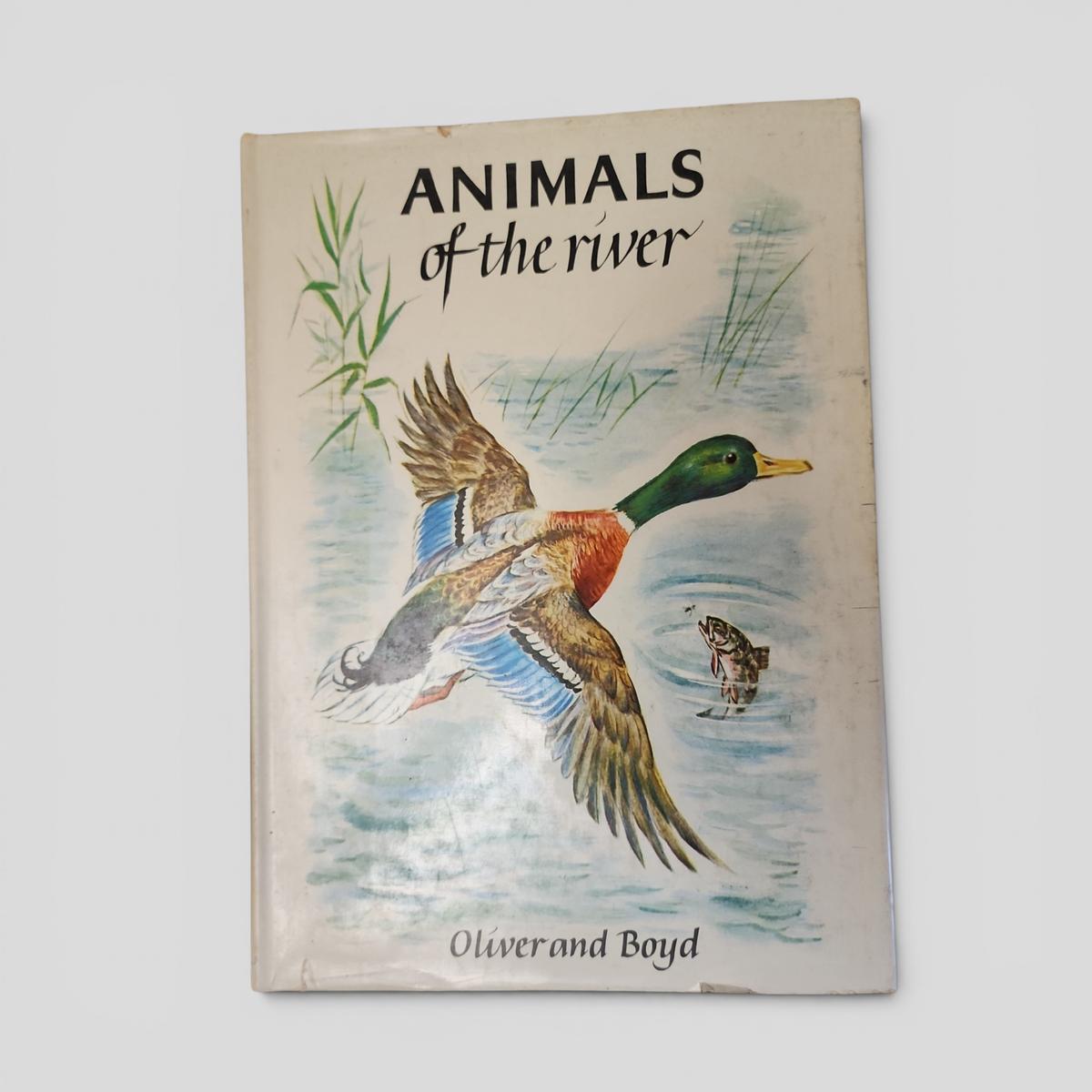 ANIMALS of the river by MARCELLE VÉRITÉ - book cover