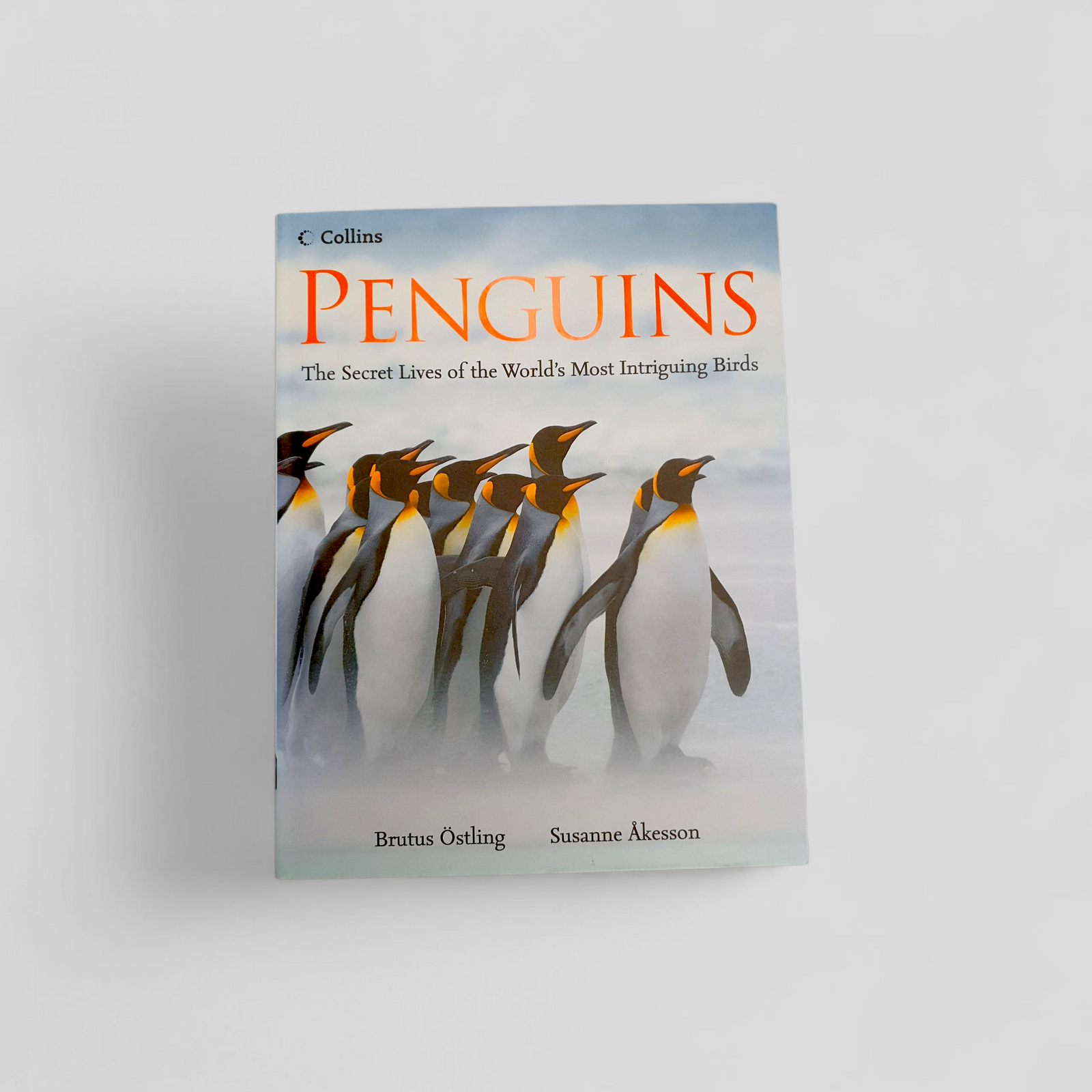 Penguins by Brutus Ostling~Susanne Akesson