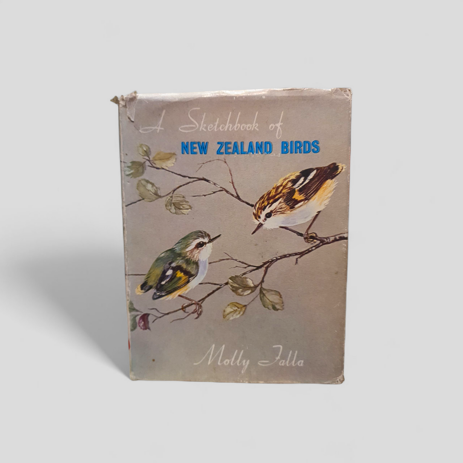 A Sketchbook of New Zealand Birds by Molly Falla