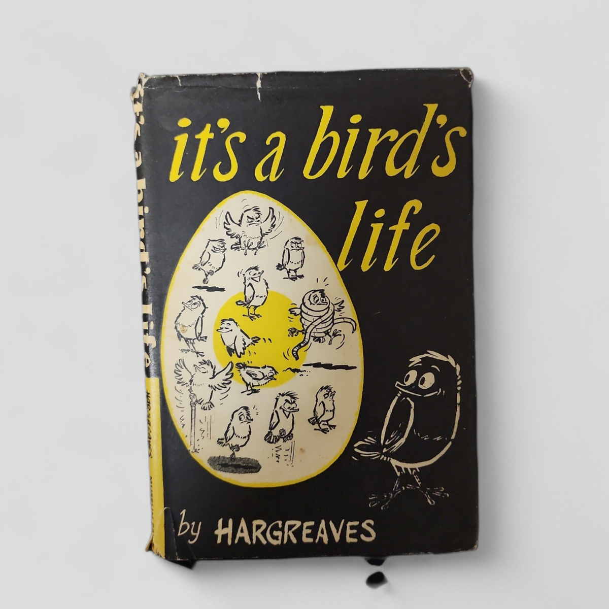 it's a bird's life by Hargreaves