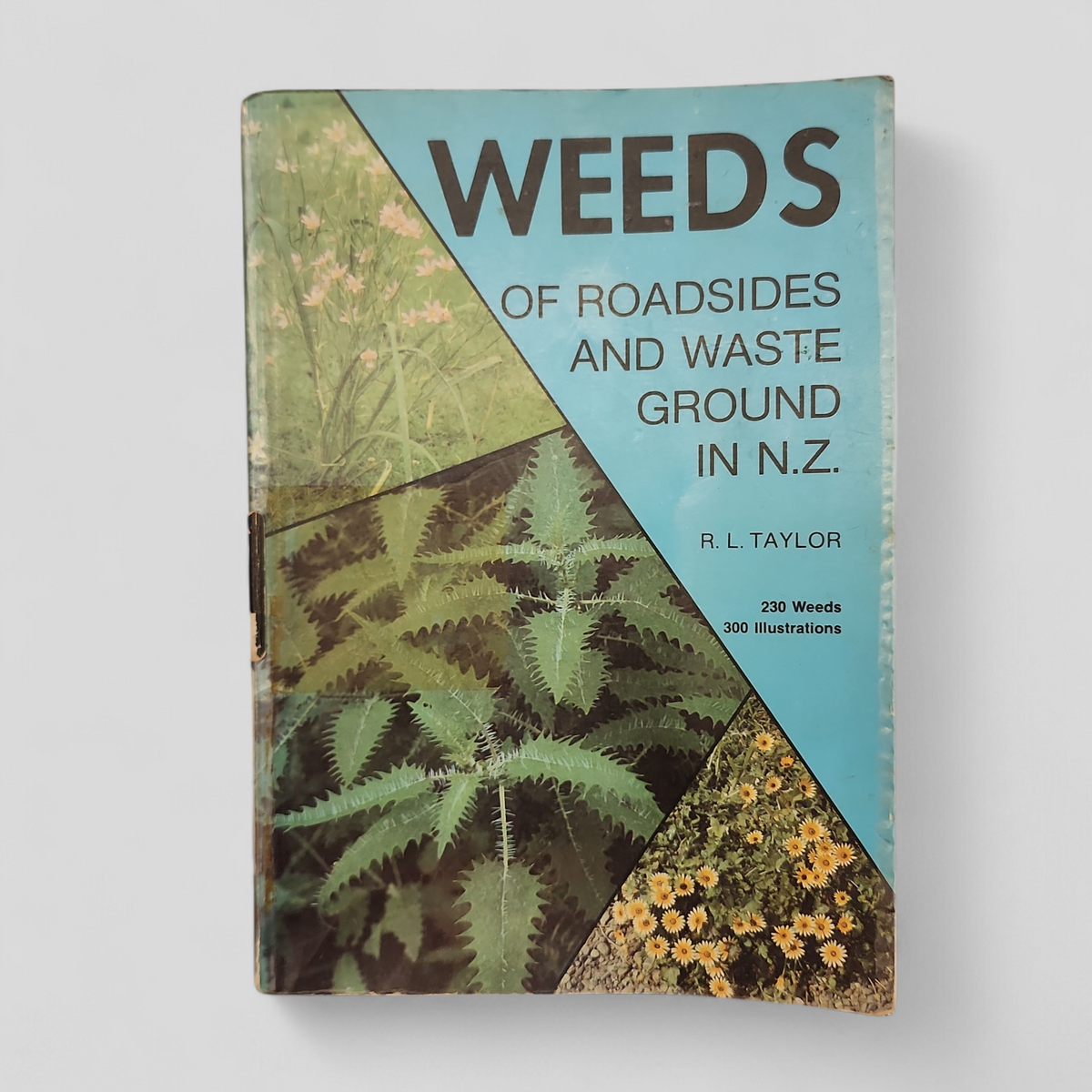 Weeds of Roadsides and Waste Ground in New Zealand by R. L. Taylor