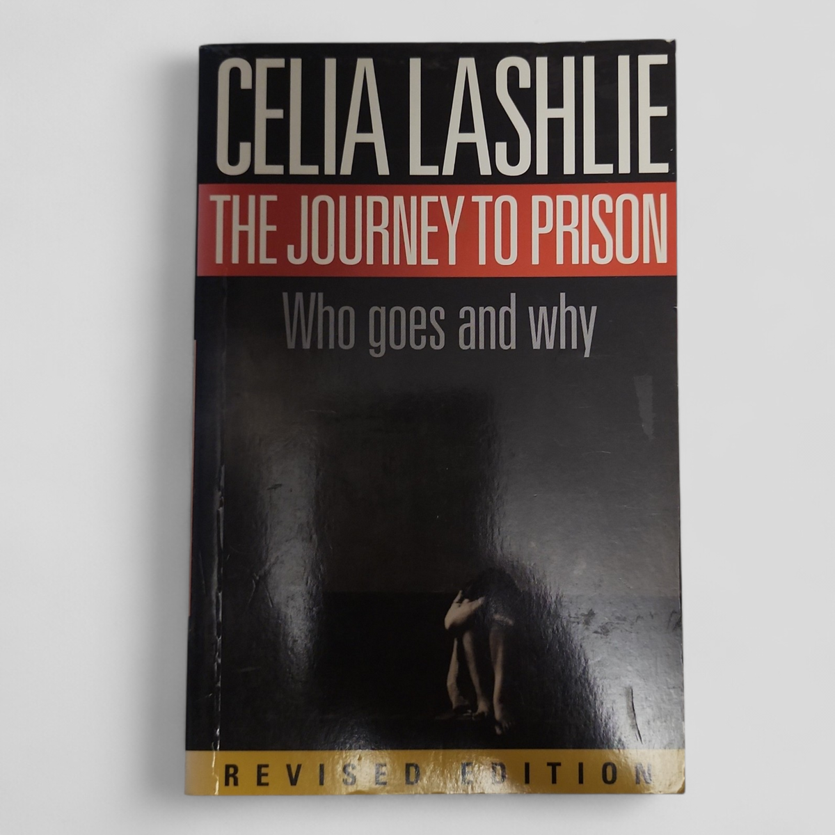 The Journey to Prison: Who Goes and Why by Celia Lashlie | Revised Edition