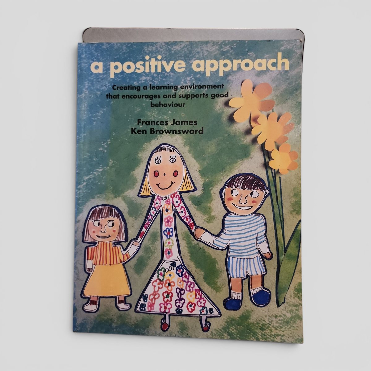 A Positive Approach by Frances James and Ken Brownsword