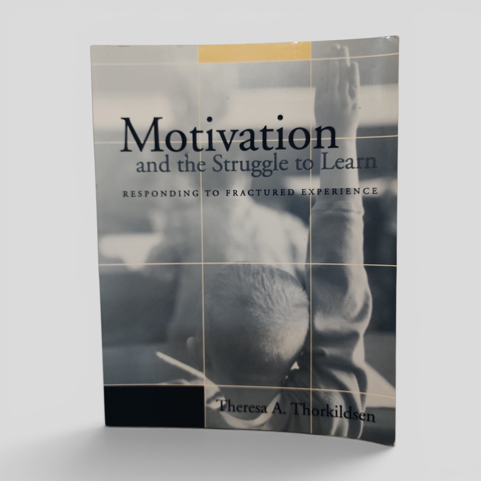 Motivation and the Struggle to Learn by Theresa A. Thorkildsen