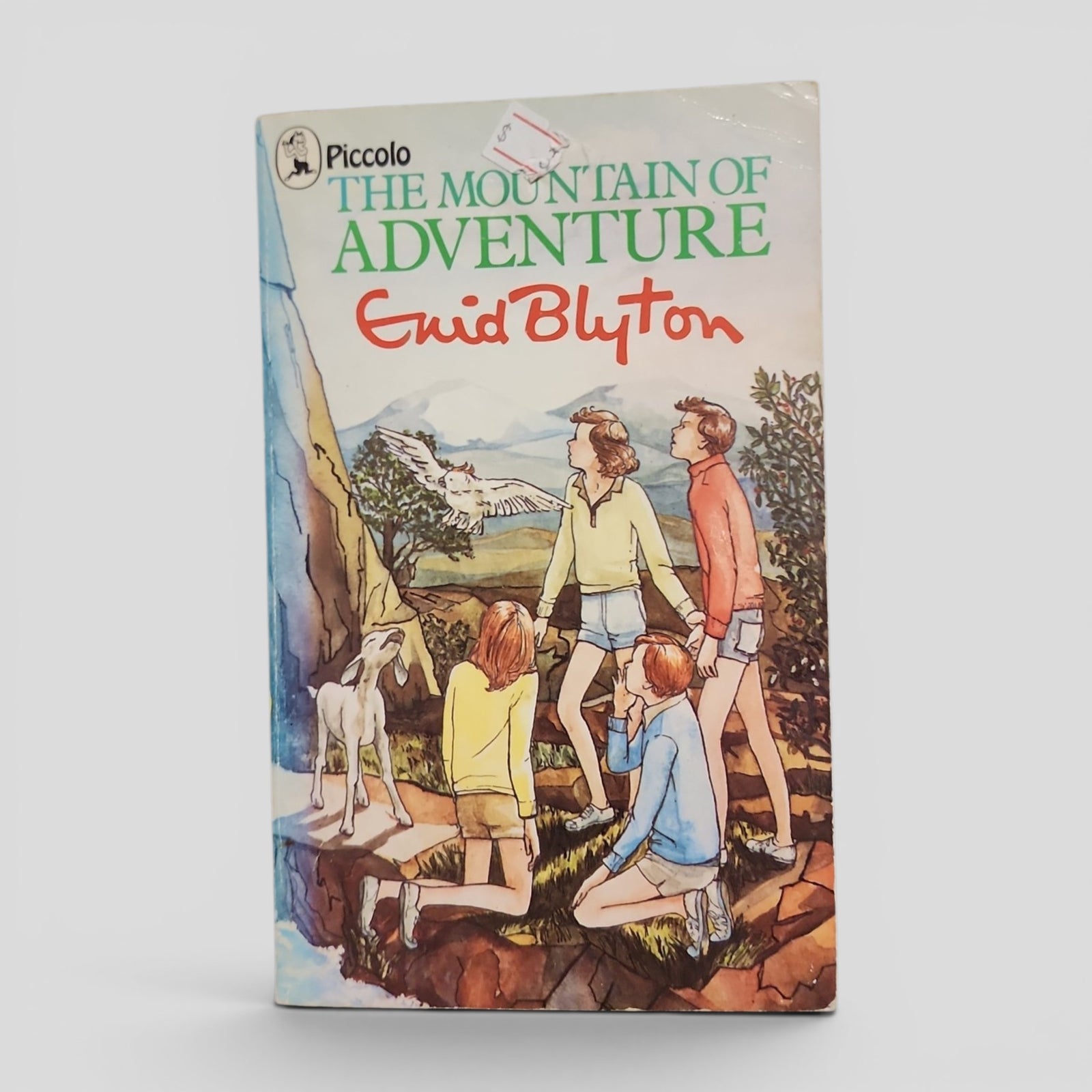 The Mountain of Adventure by Enid Blyton