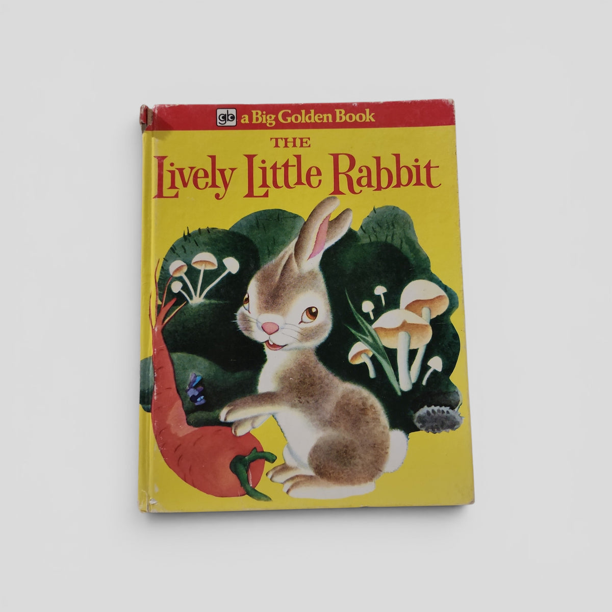 The Lively Little Rabbit