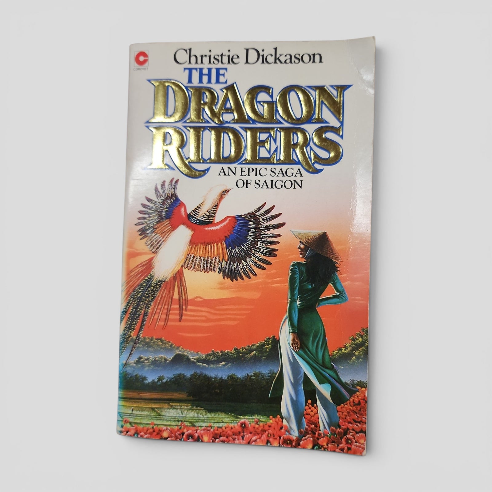The Dragon Riders by Christie Dickason