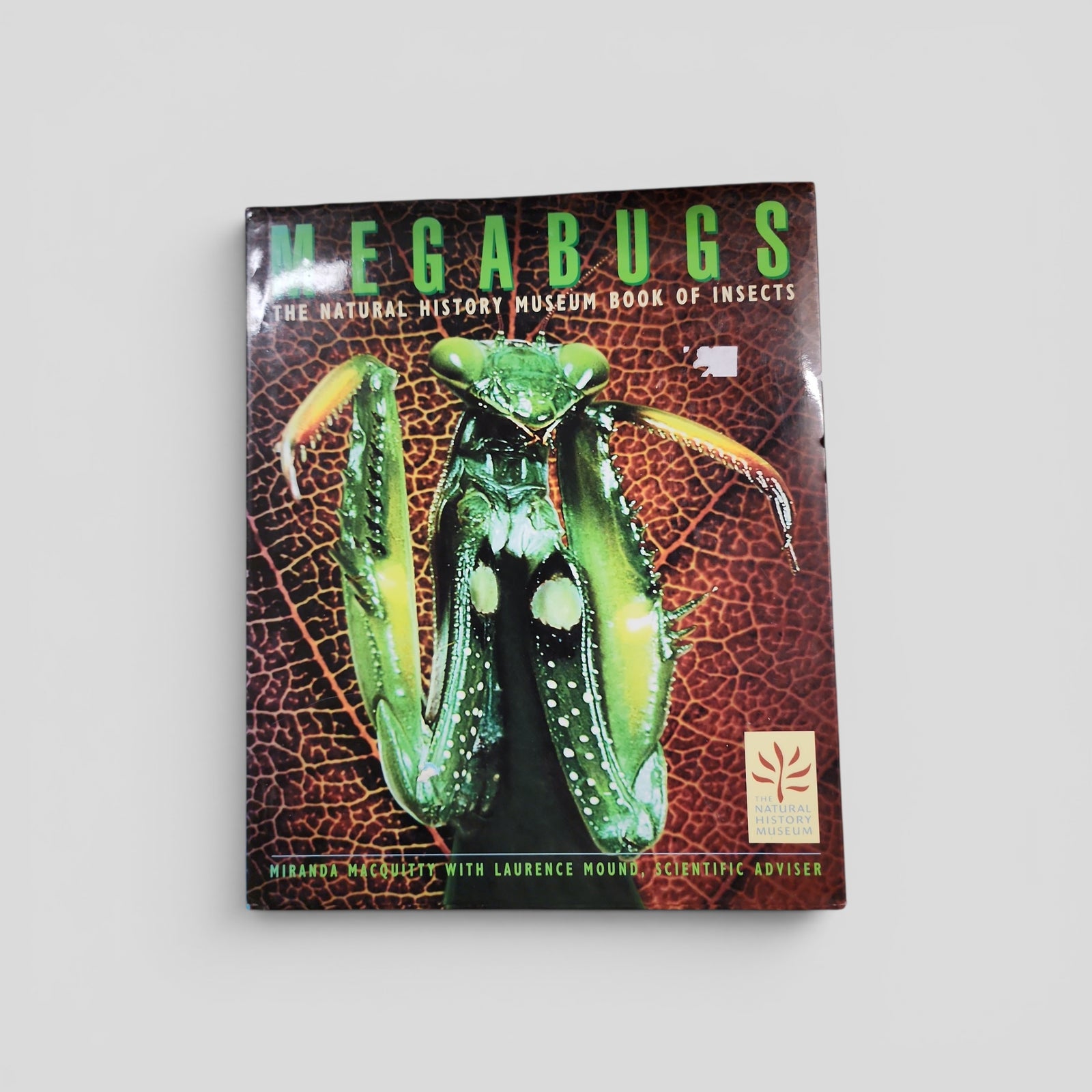 Megabugs: The Natural History Museum Book of Insects by Miranda MacQuitty