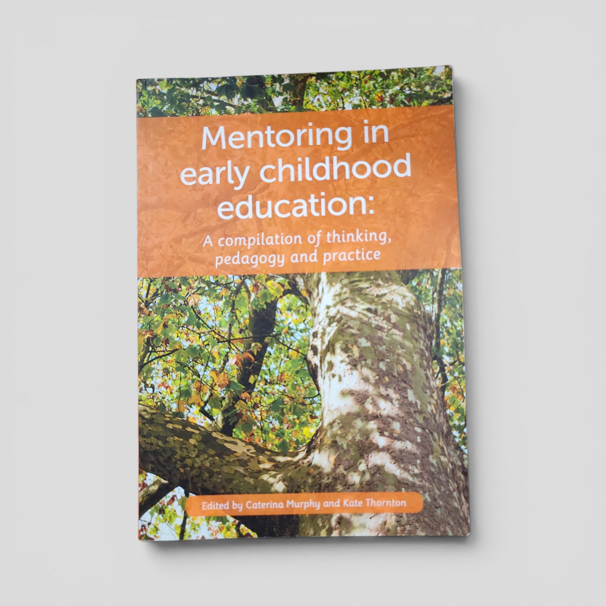 Mentoring in Early Childhood: A complilation of thinking, pedagogy and practice by Caterina Murphy, Kate Thornton