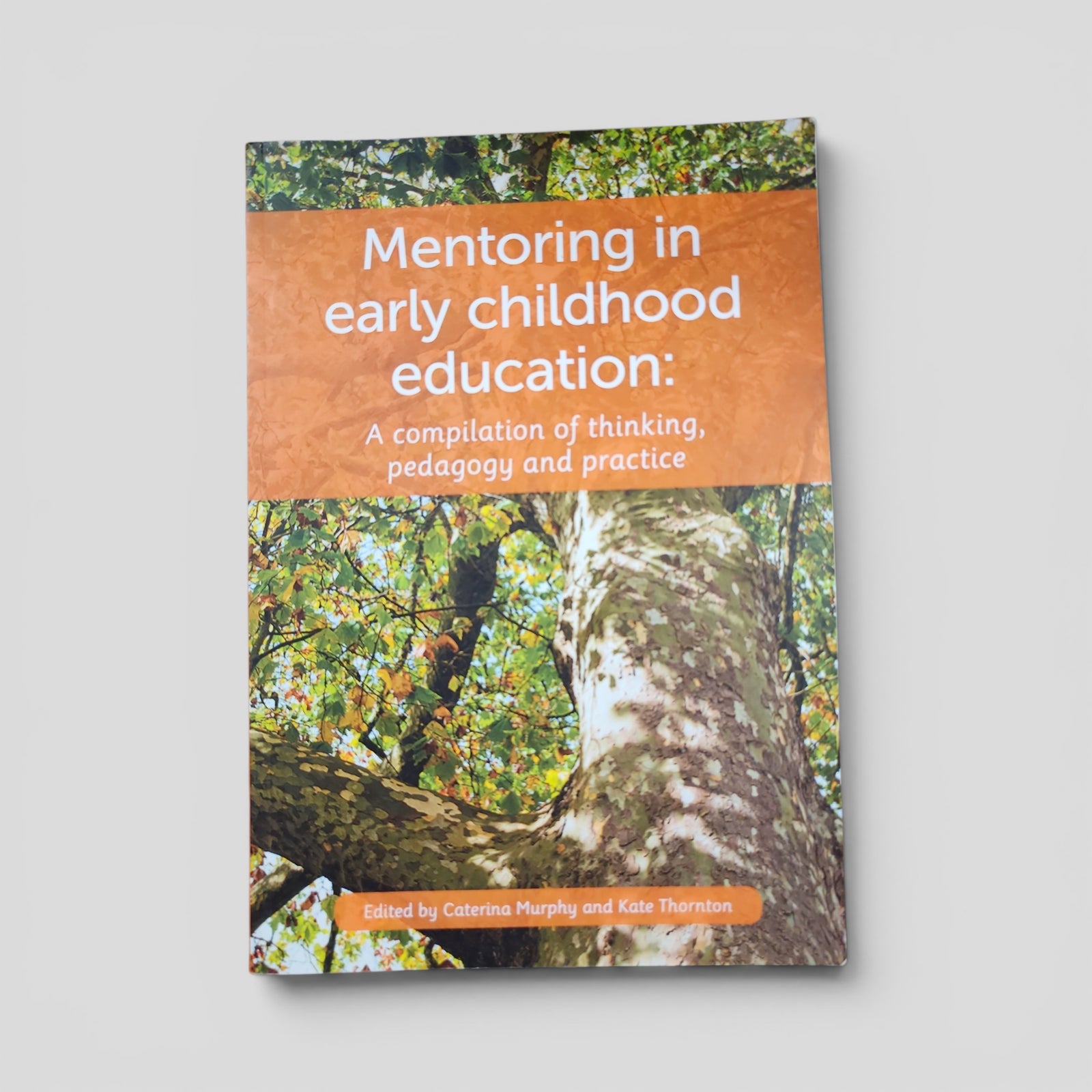 Mentoring in Early Childhood: A complilation of thinking, pedagogy and practice by Caterina Murphy, Kate Thornton