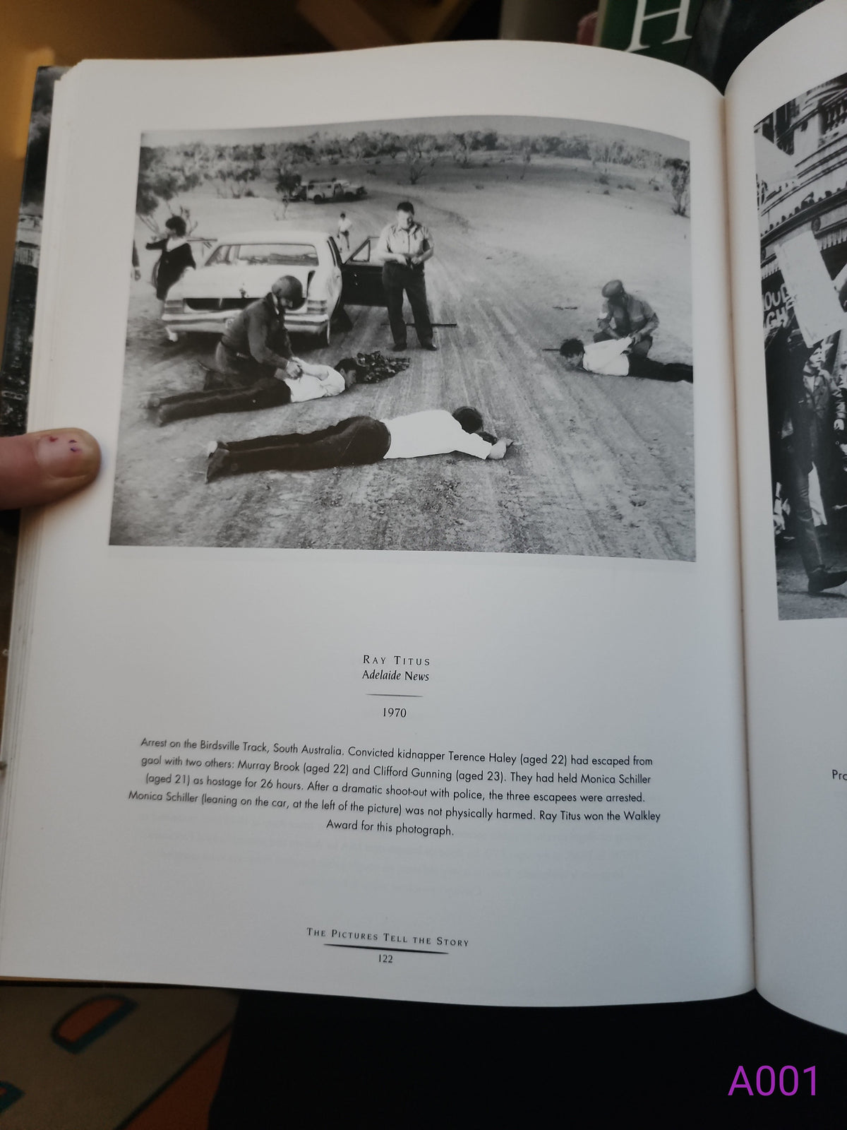 The Pictures Tell the Story by Winton Irving