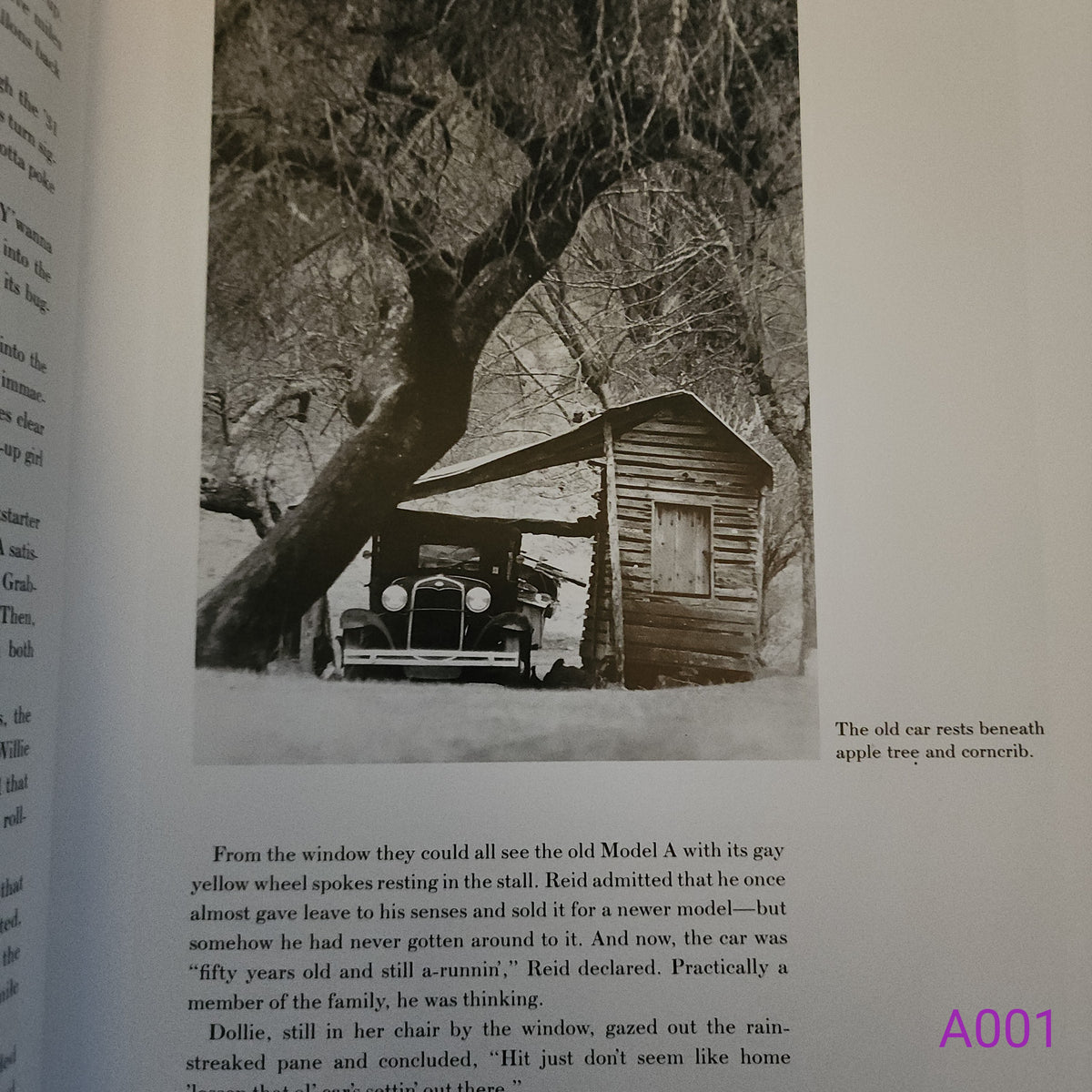 Runnin' on Rims: Appalachian Profiles by Jock Lauterer