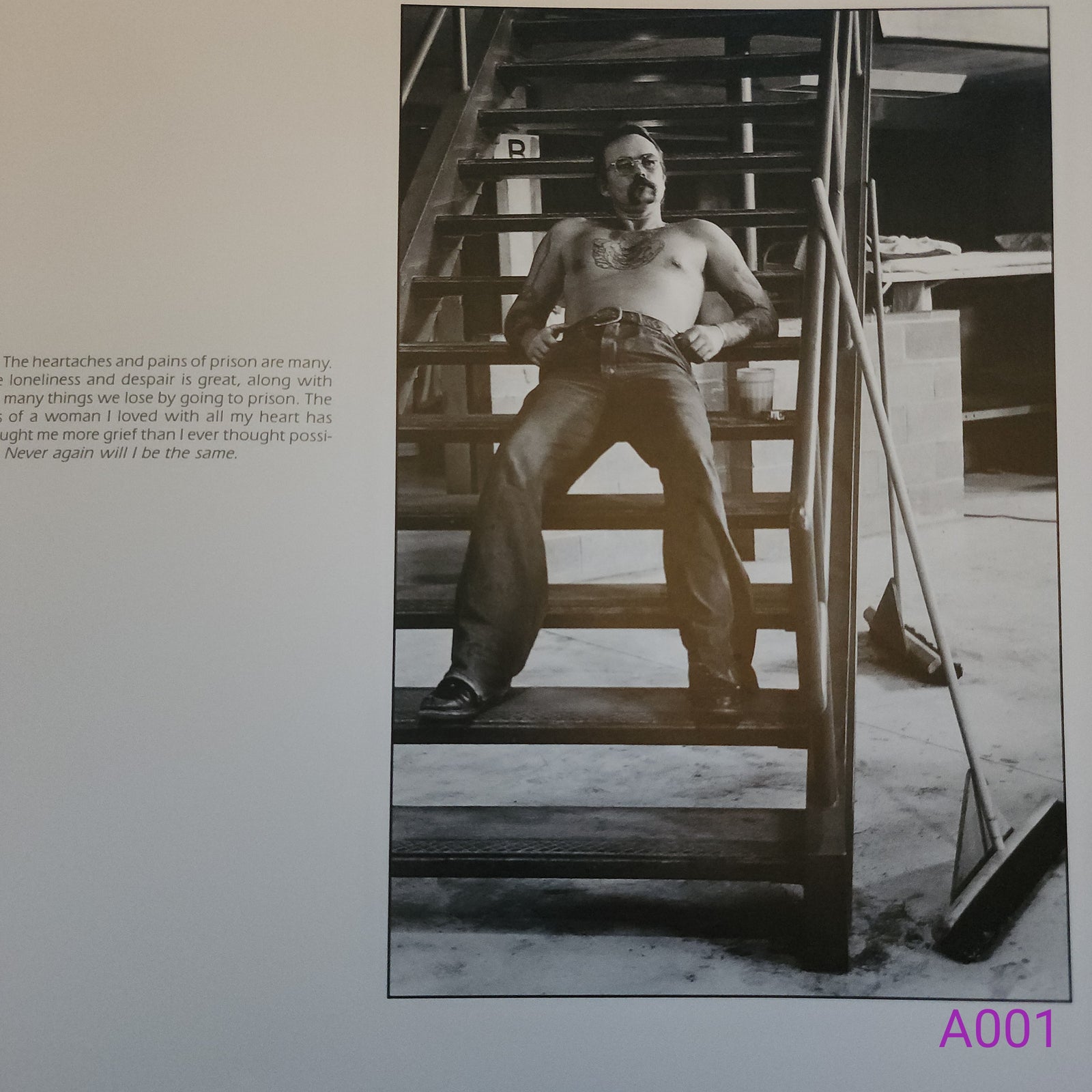 THE PRISON EXPERIENCE by Morrie Camhi