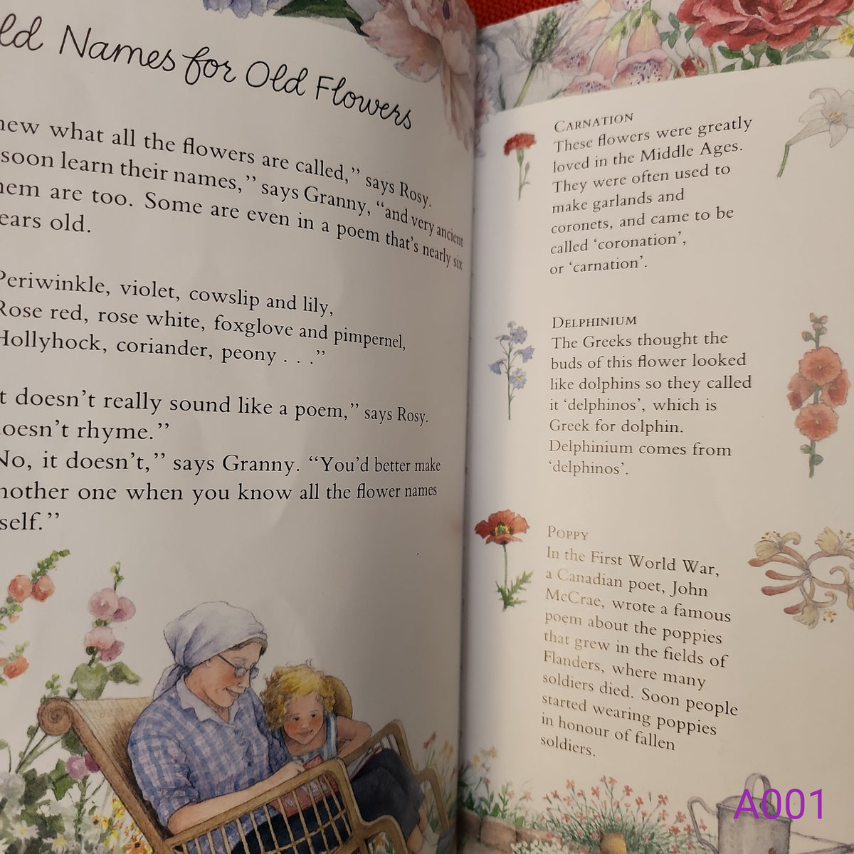 Rosy's Garden: A Child's Keepsake of Flowers by Satomi Ichikawa