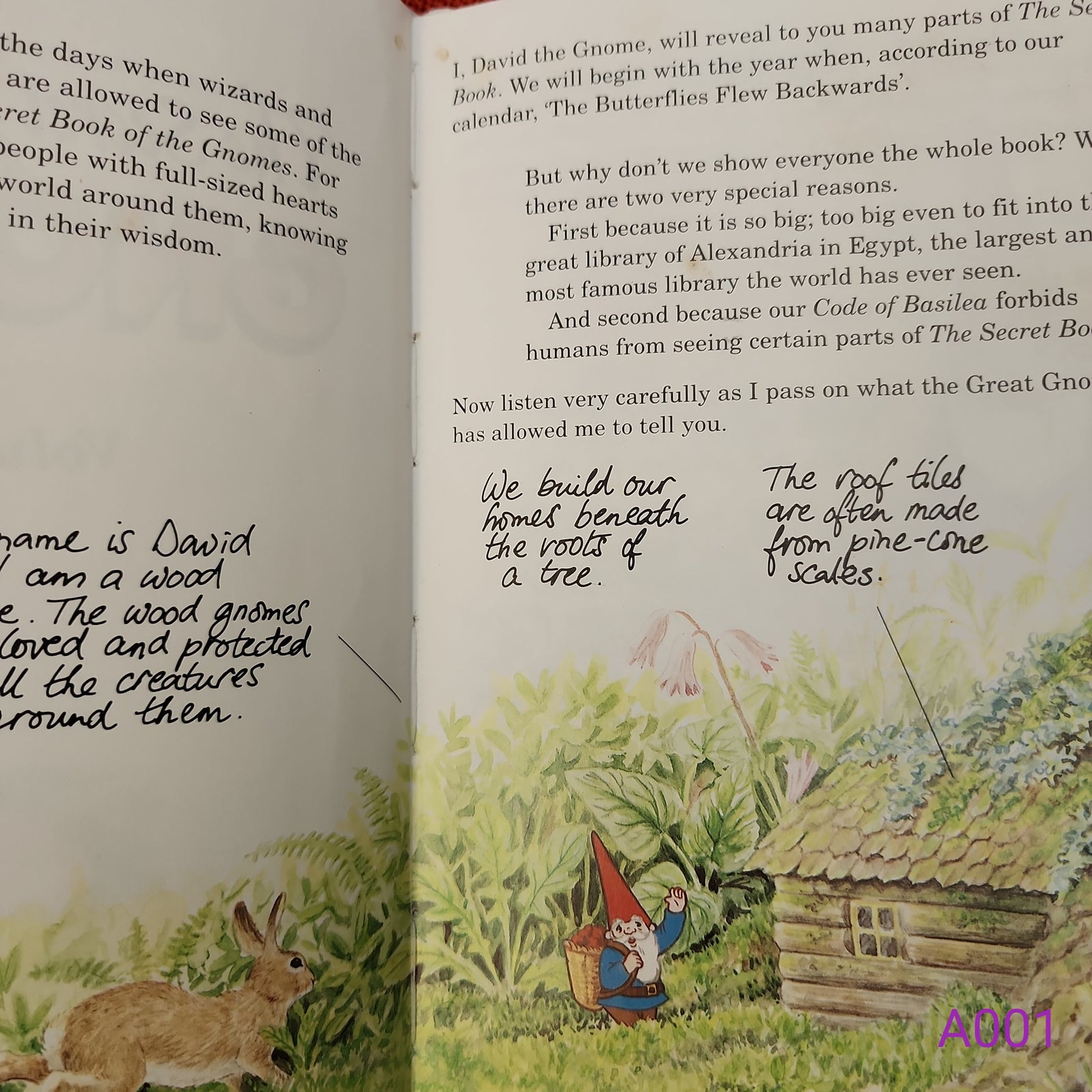 The Secret Book of the Gnomes Volume 1