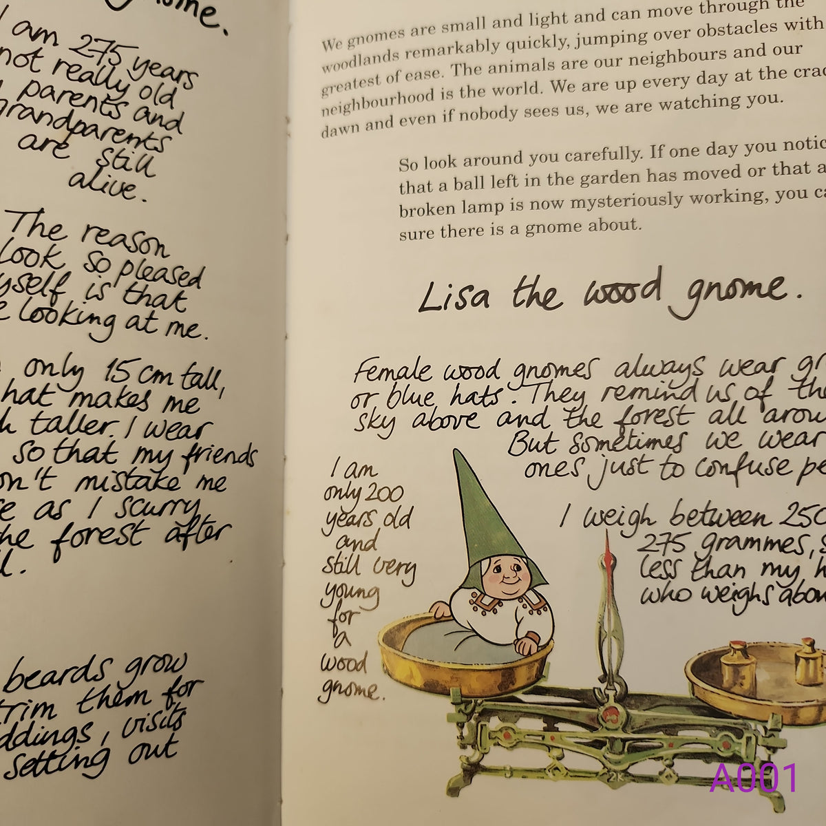 The Secret Book of the Gnomes Volume 1