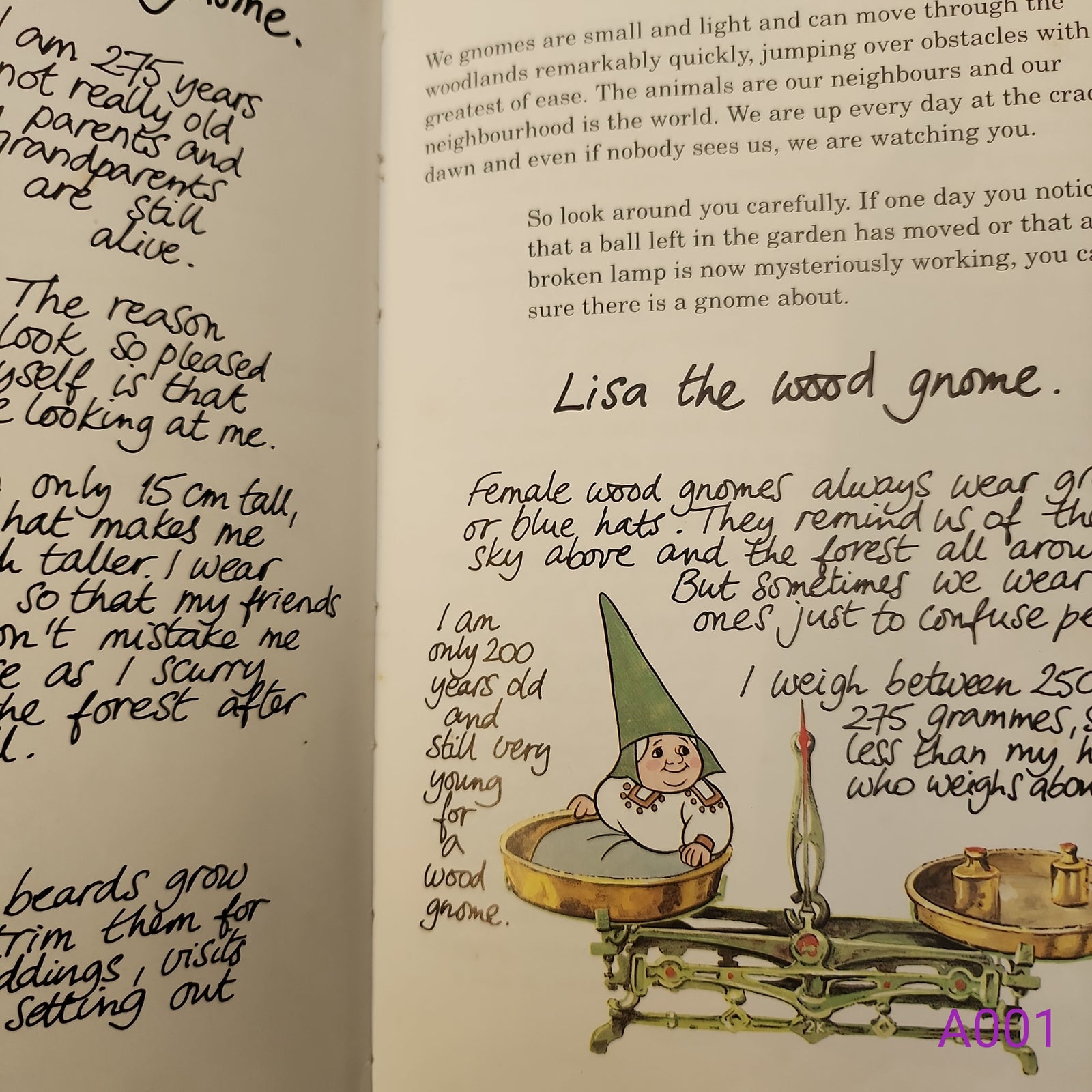 The Secret Book of the Gnomes Volume 1