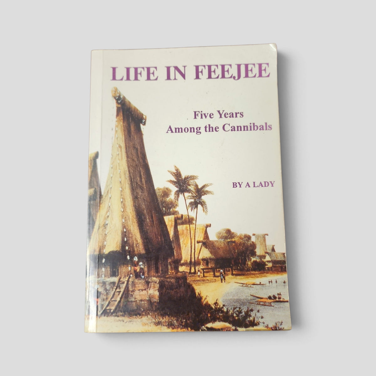 Life in Feejee by Mary Wallis