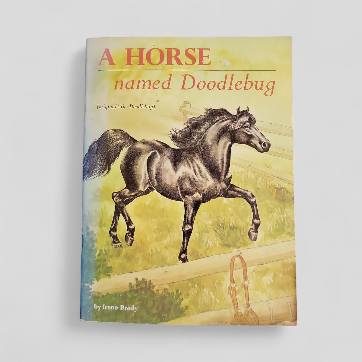 A Horse named Doodlebug by Irene Brady - Books Worth Keeping