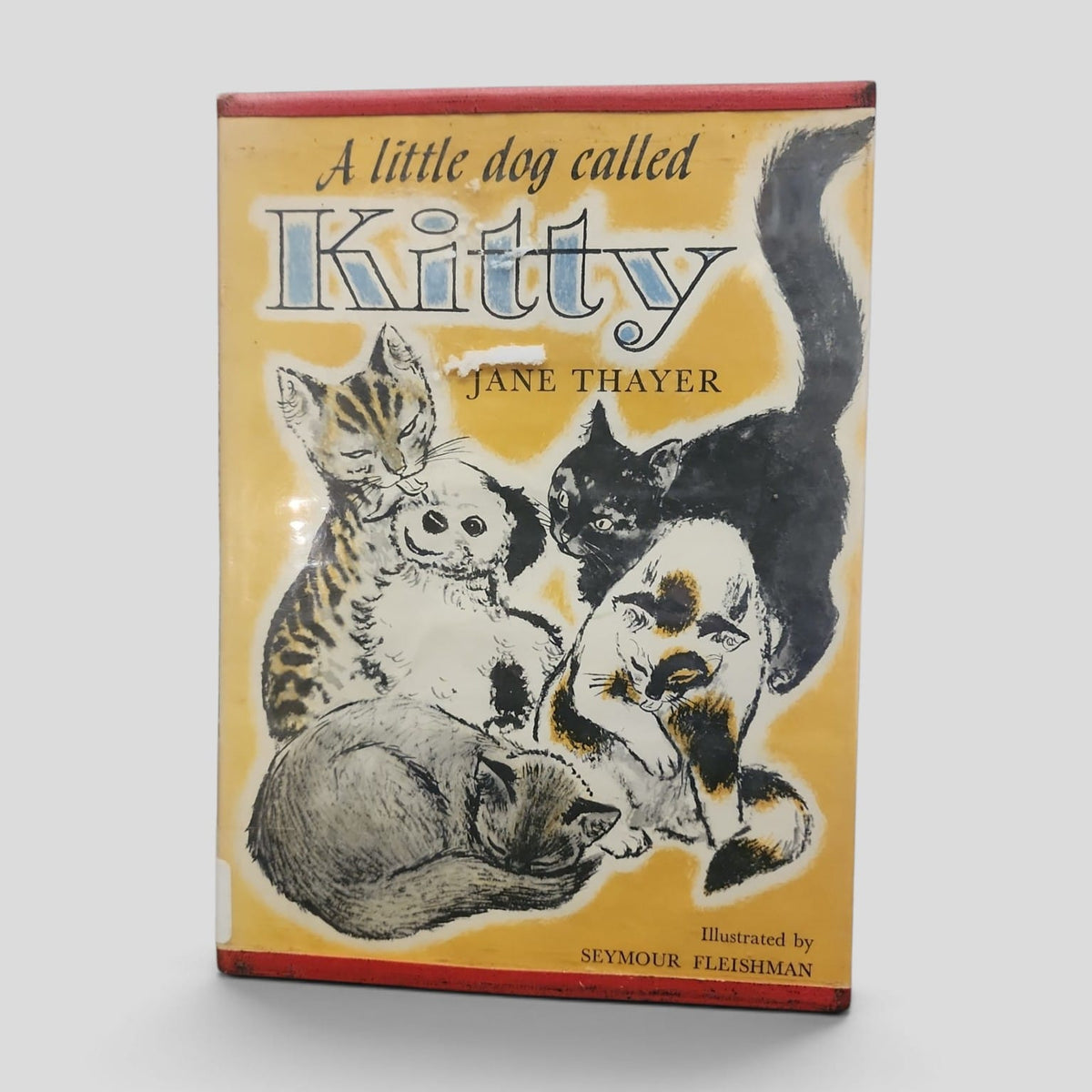 A Little Dog Called Kitty by Jane Thayer front cover