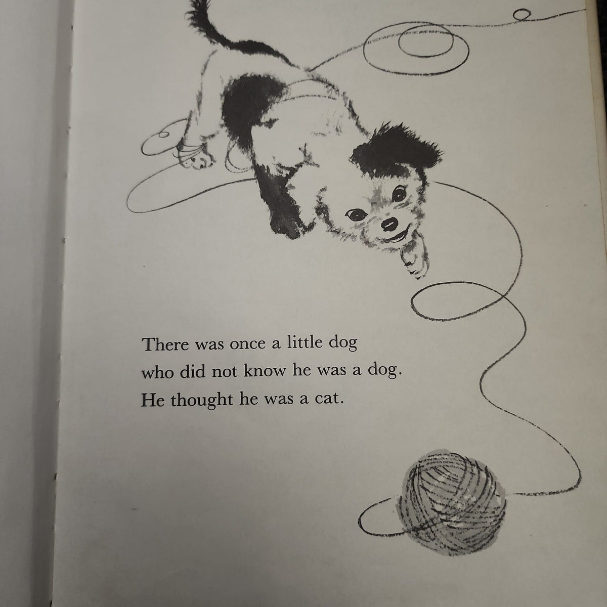 A Little Dog Called Kitty interior illustration