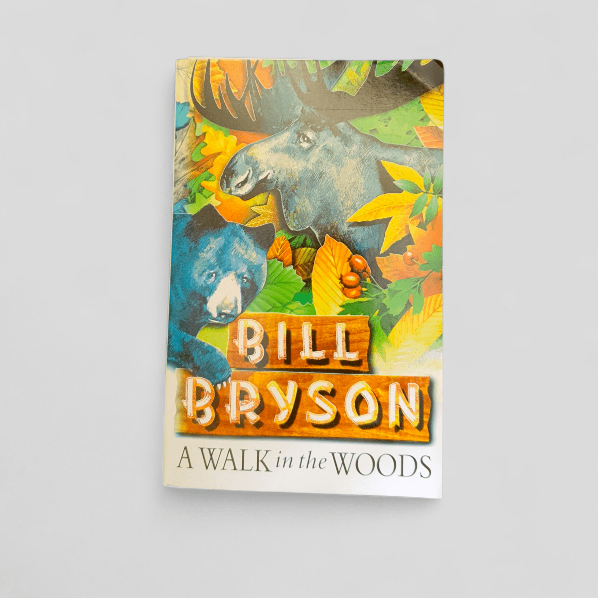 A Walk in the Woods: Rediscovering America on the Appalachian Trail by Bill Bryson - Books Worth Keeping