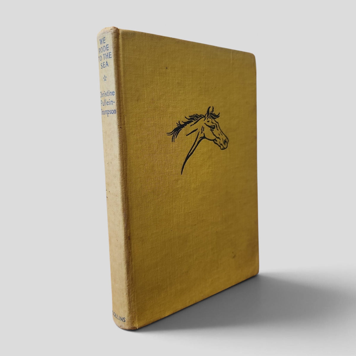 We Rode to the Sea by Christine Pullein-Thompson — front cover