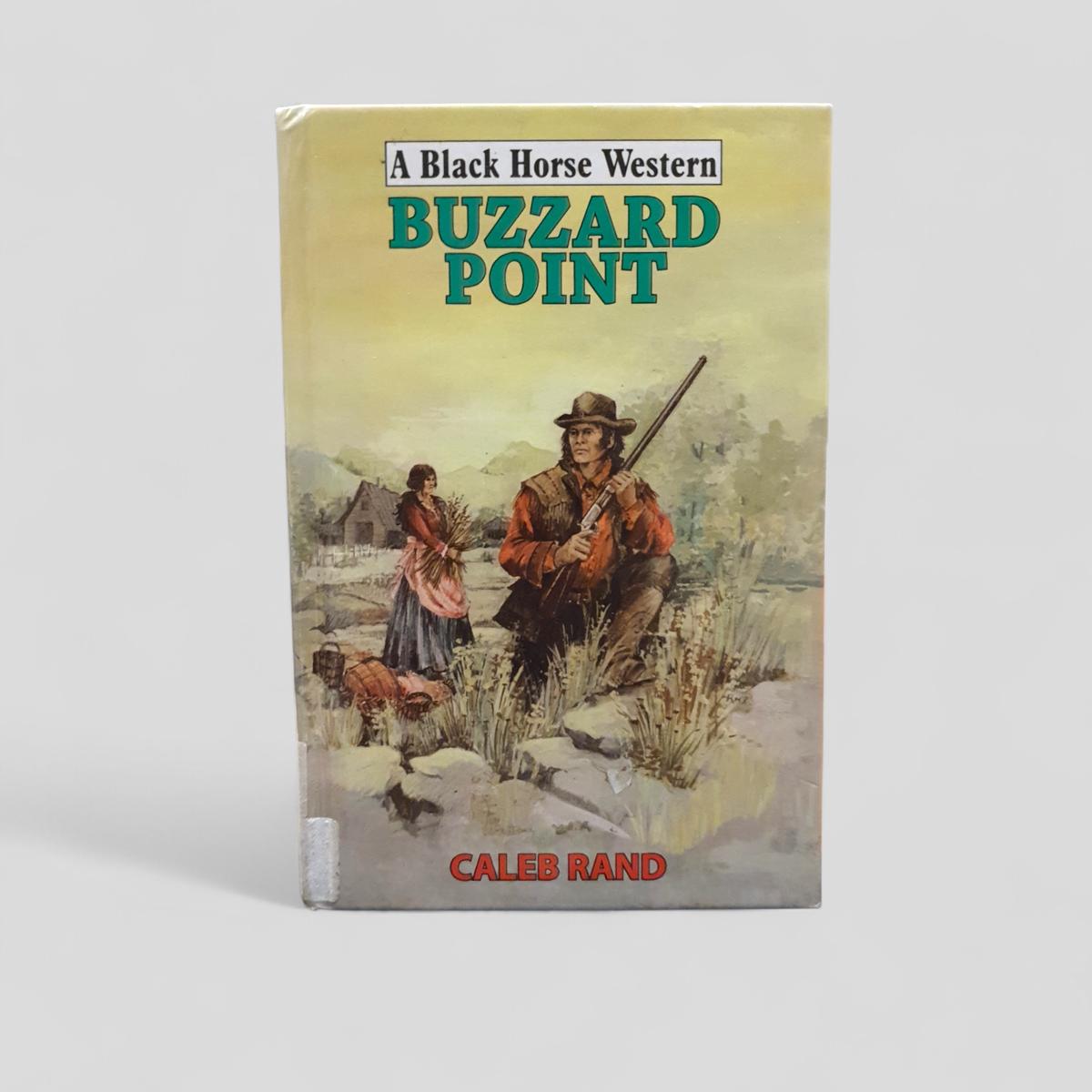 Buzzard Point by Caleb Rand - book cover