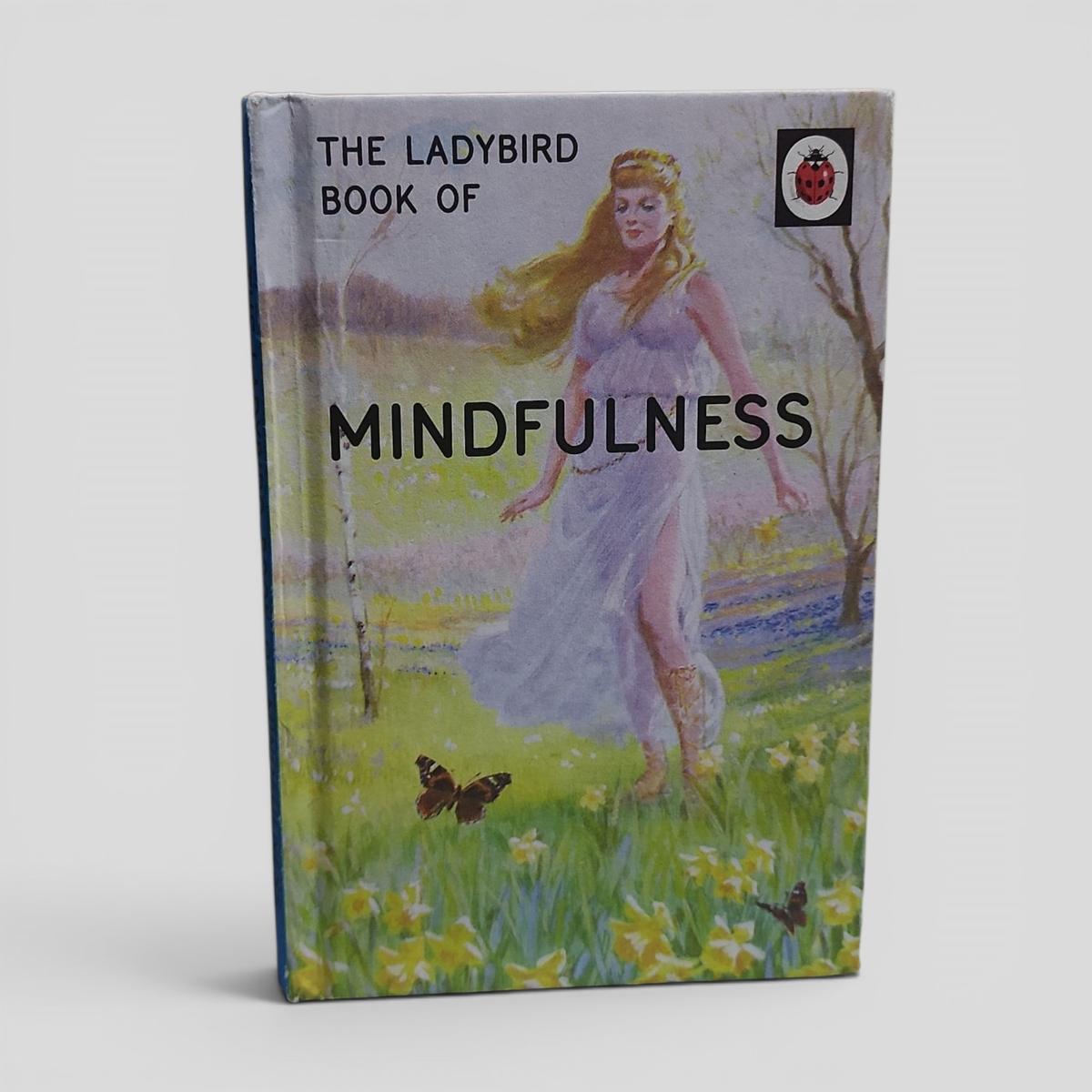 The Ladybird Book Of Mindfulness - book cover