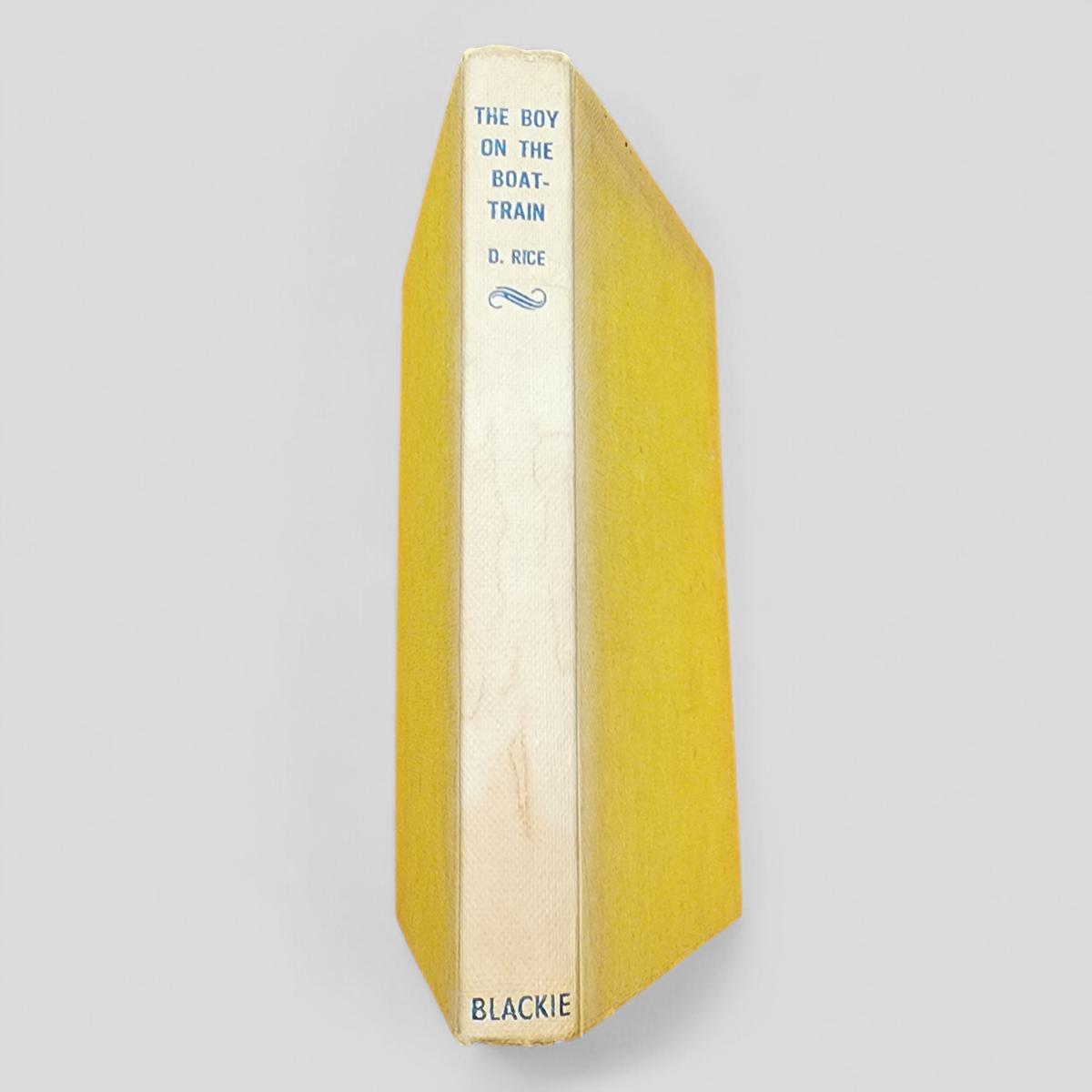 The Boy on the Boat-Train by D. Rice - book cover