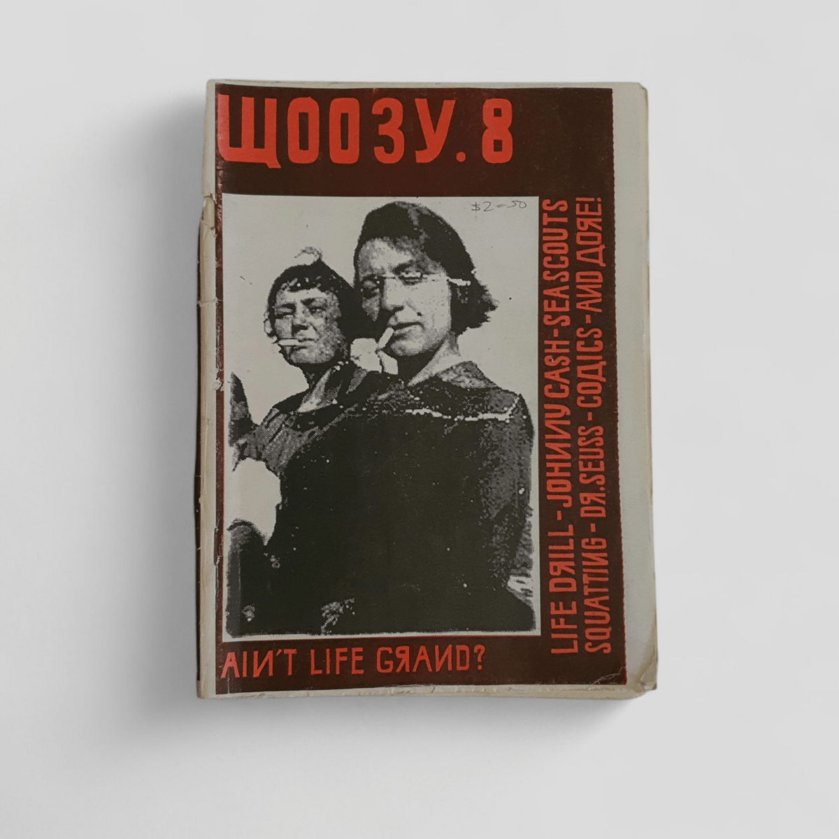Ain't Life Grand? (Zine) Issue 8 - Books Worth Keeping