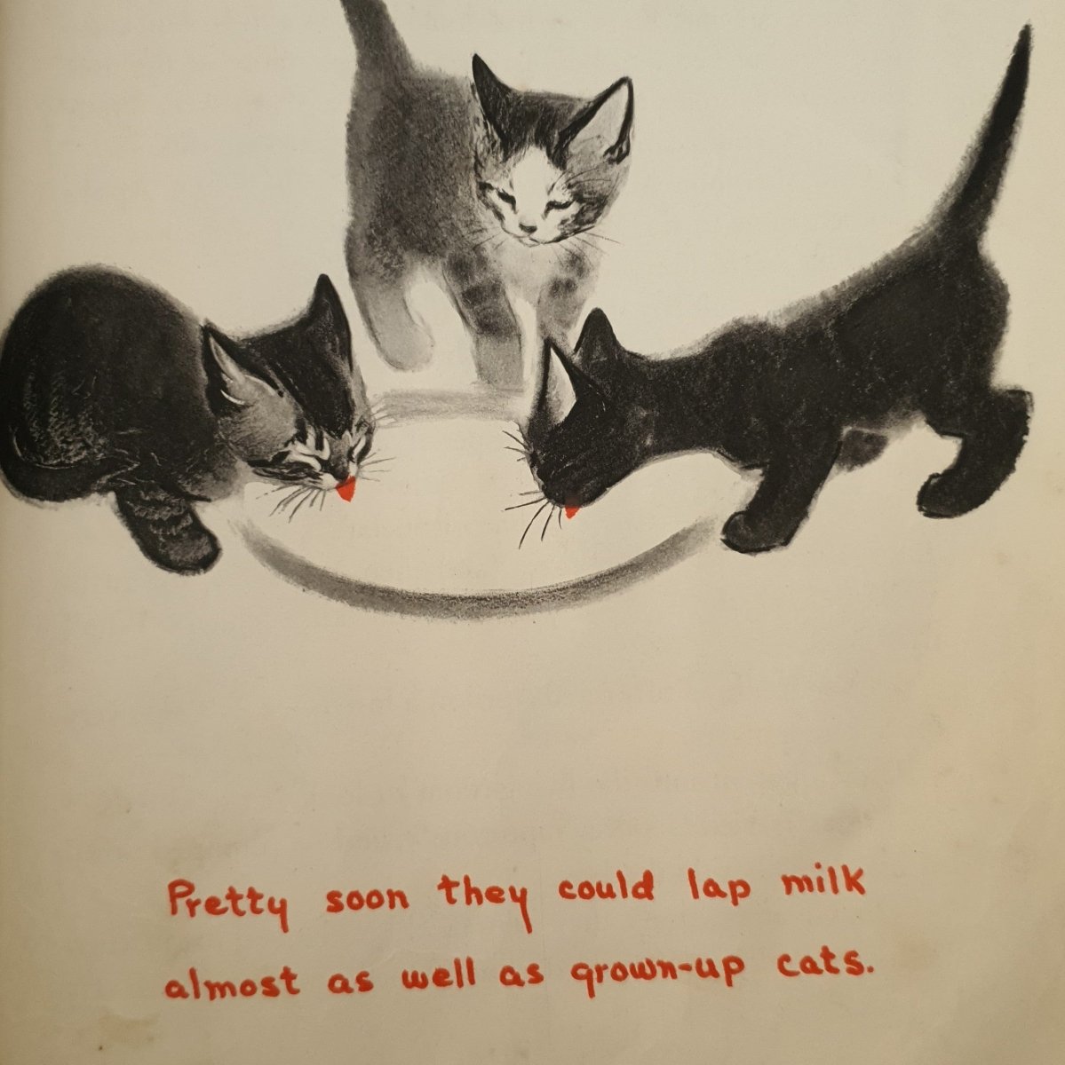 April’s Kittens by Clare Turlay Newberry - Books Worth Keeping