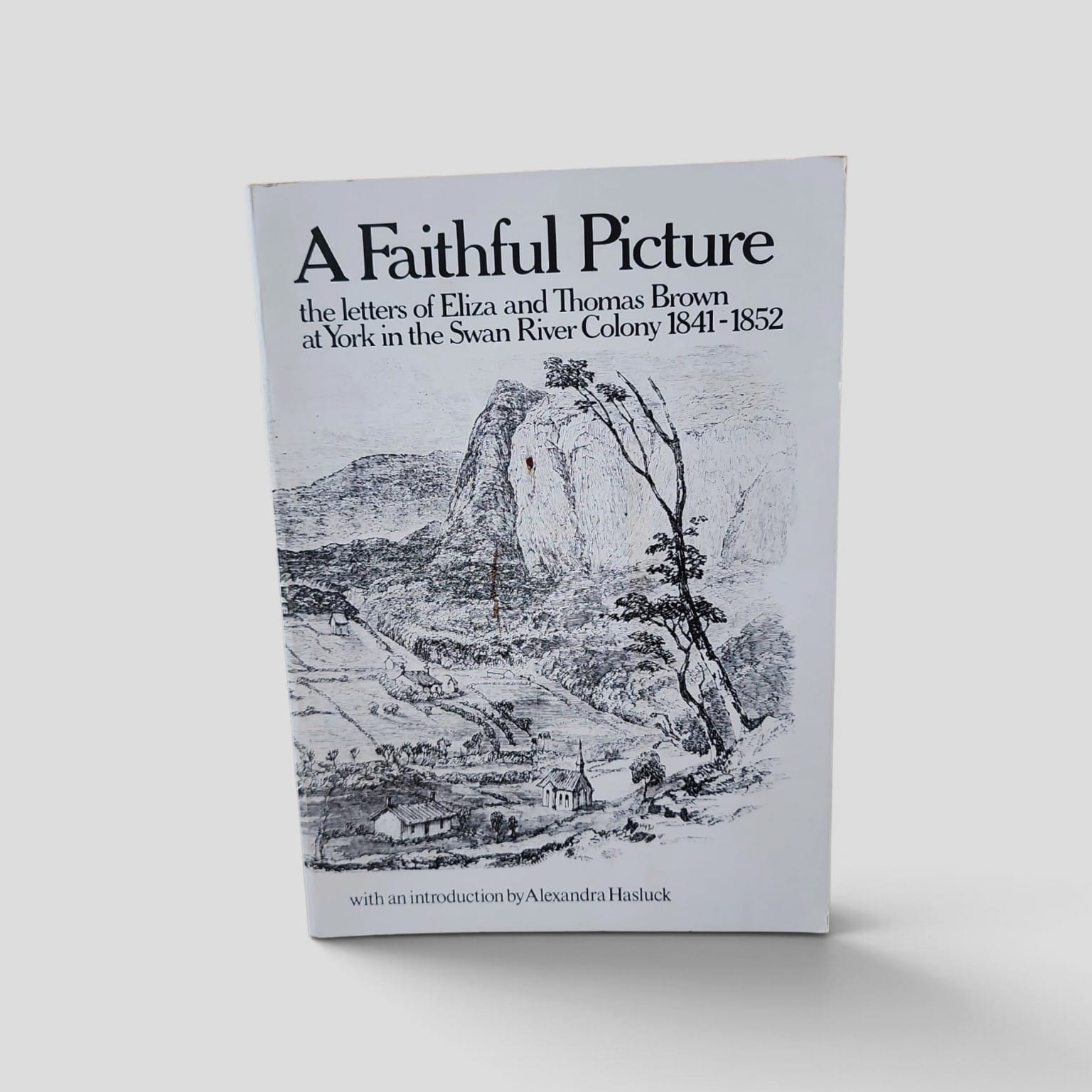A Faithful Picture by Eliza and Thomas Brown, front cover