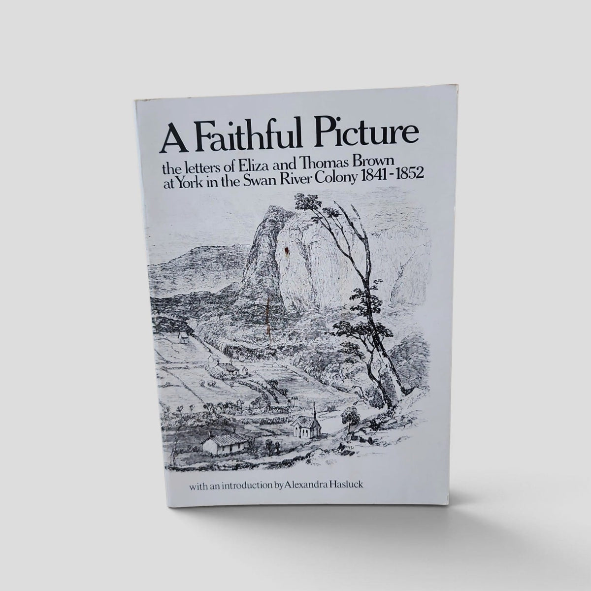 A Faithful Picture by Eliza and Thomas Brown, front cover