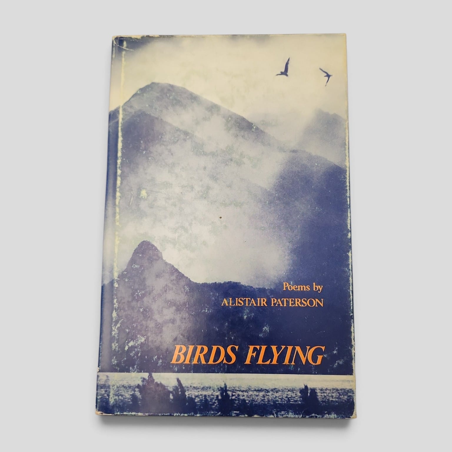 Birds Flying by Alistair Paterson - first edition 1973 cover