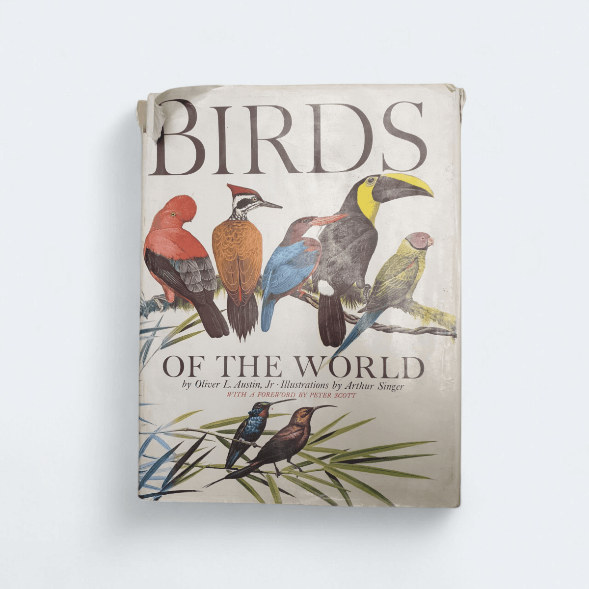 Birds of the World – Oliver L. Austin Jr. &amp; Arthur Singer - Books Worth Keeping