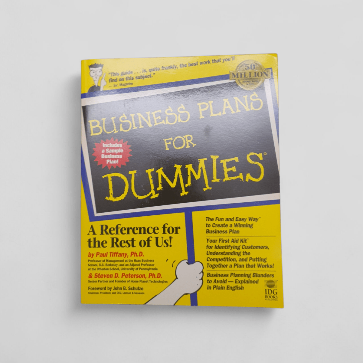 Business Plans For Dummies by Paul Tiffany & Steven D. Peterson - Books Worth Keeping