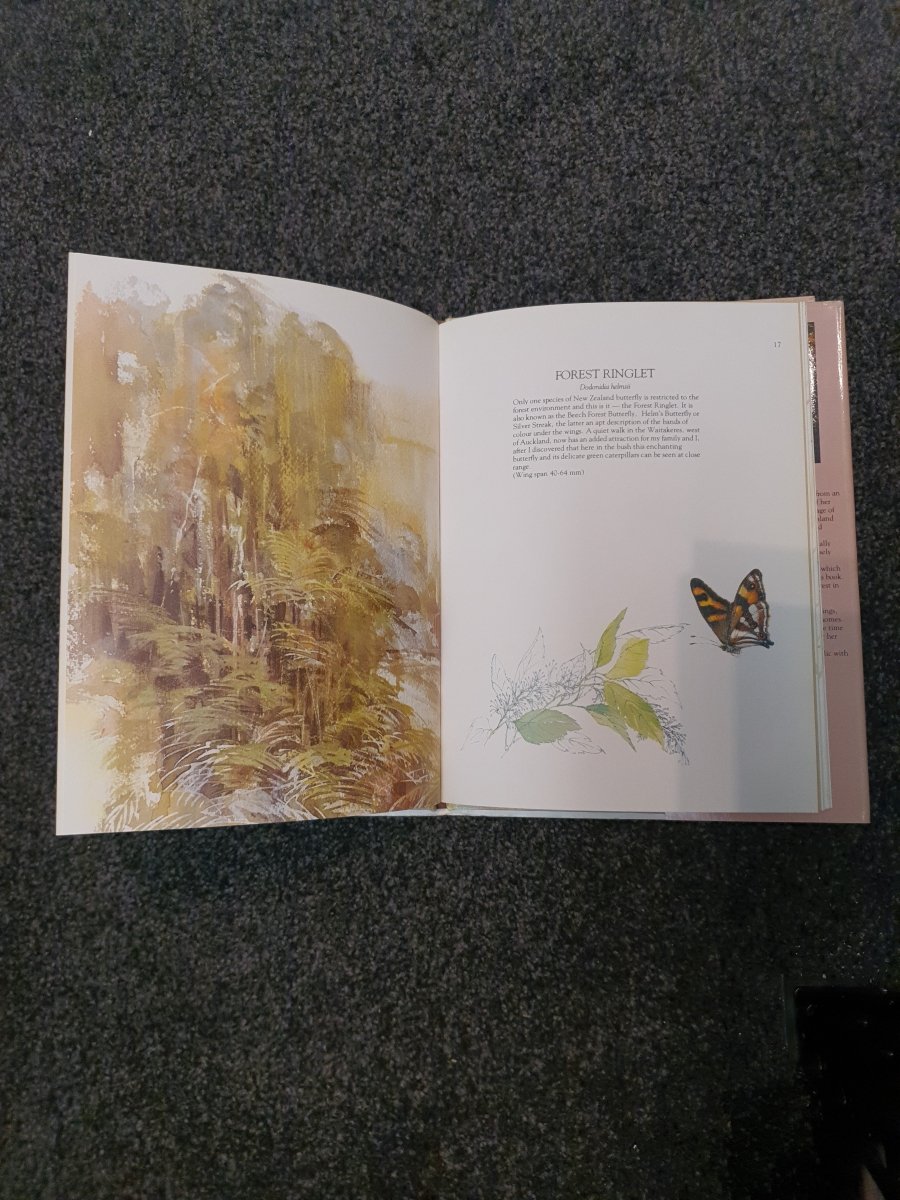 Catherine Hamilton's Butterflies of New Zealand by Catherine Hamilton - Books Worth Keeping