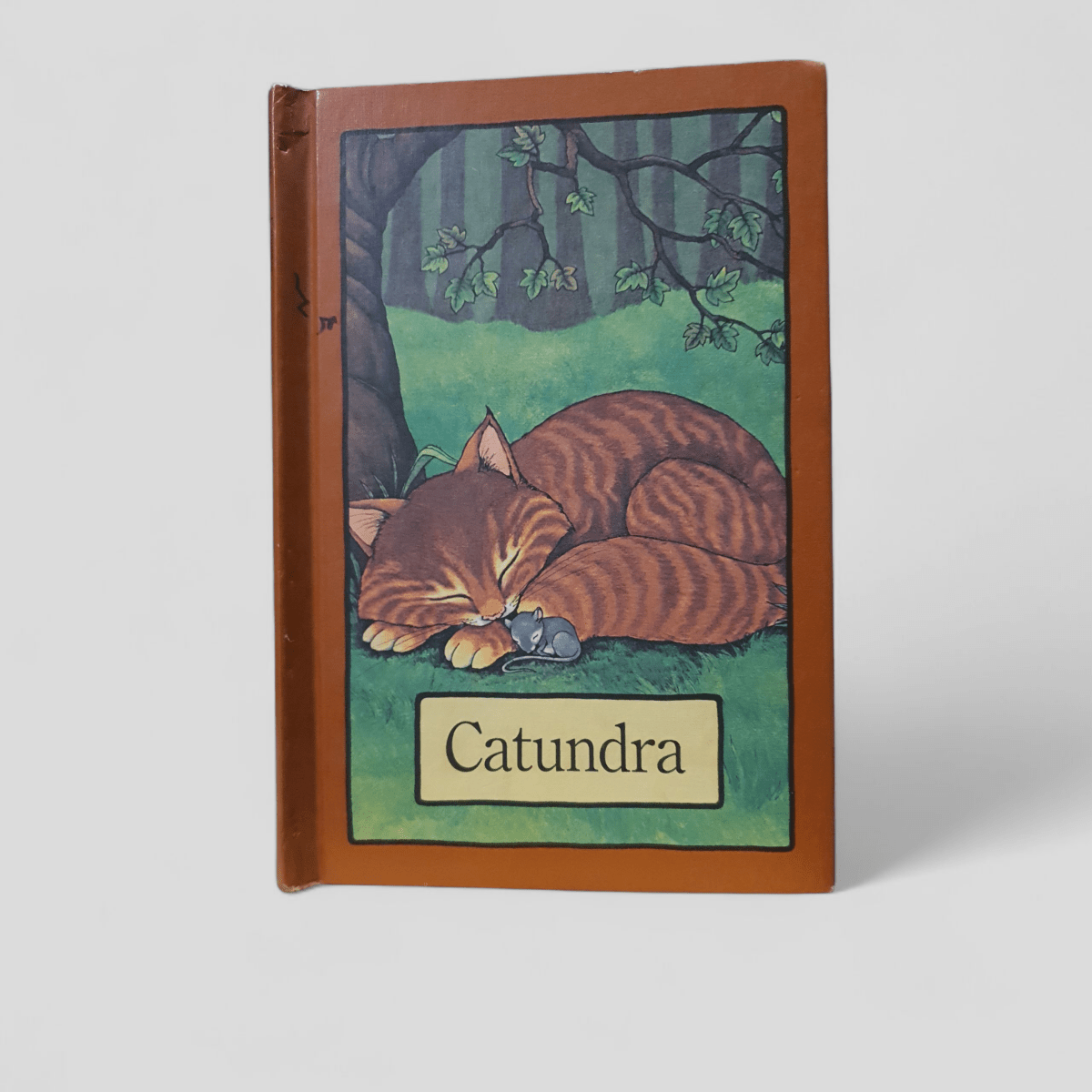 Catundra by Stephen Cosgrove - Books Worth Keeping