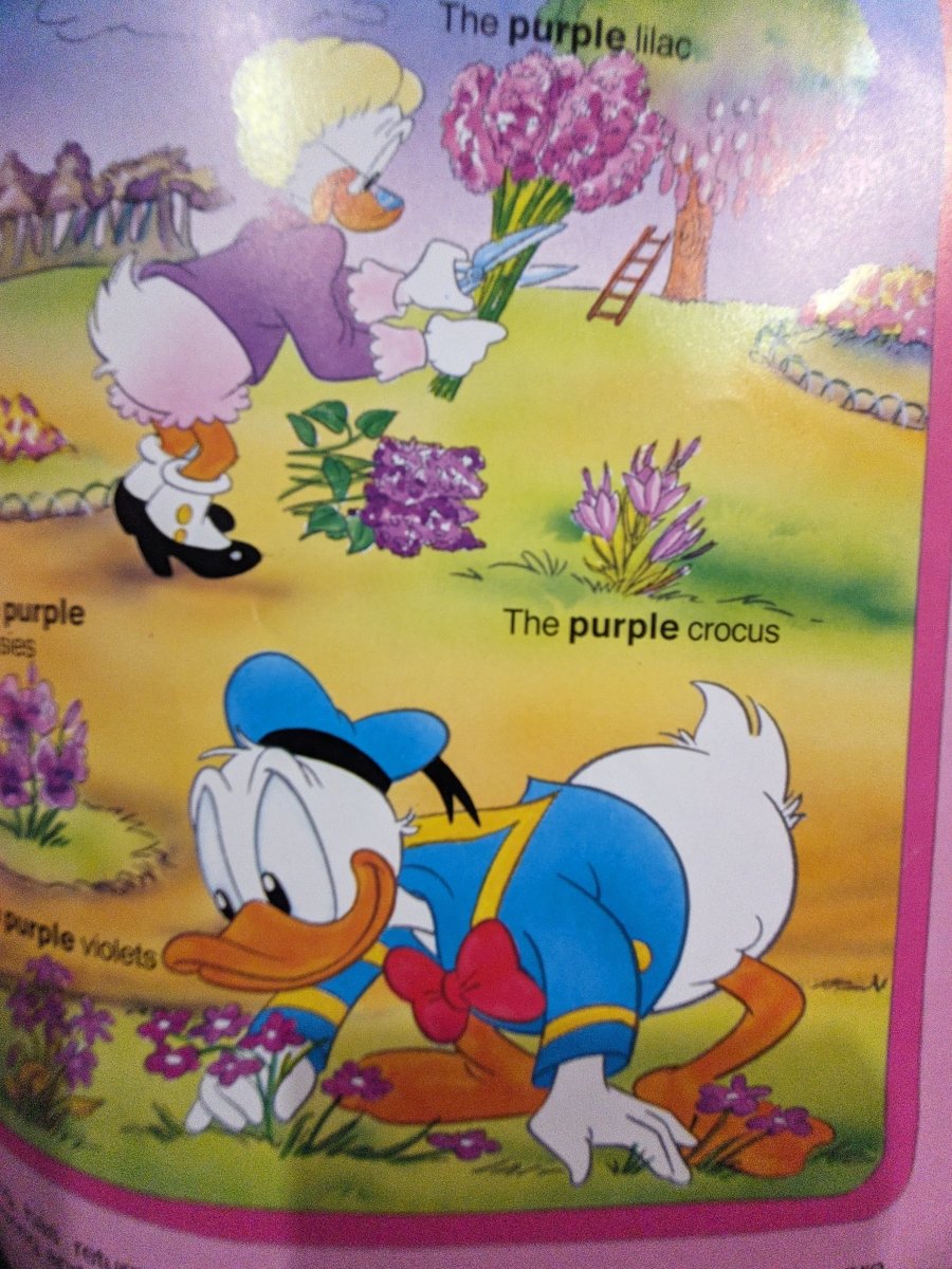 Colours: My Walt Disney Picture Book (Budget Books) - Books Worth Keeping