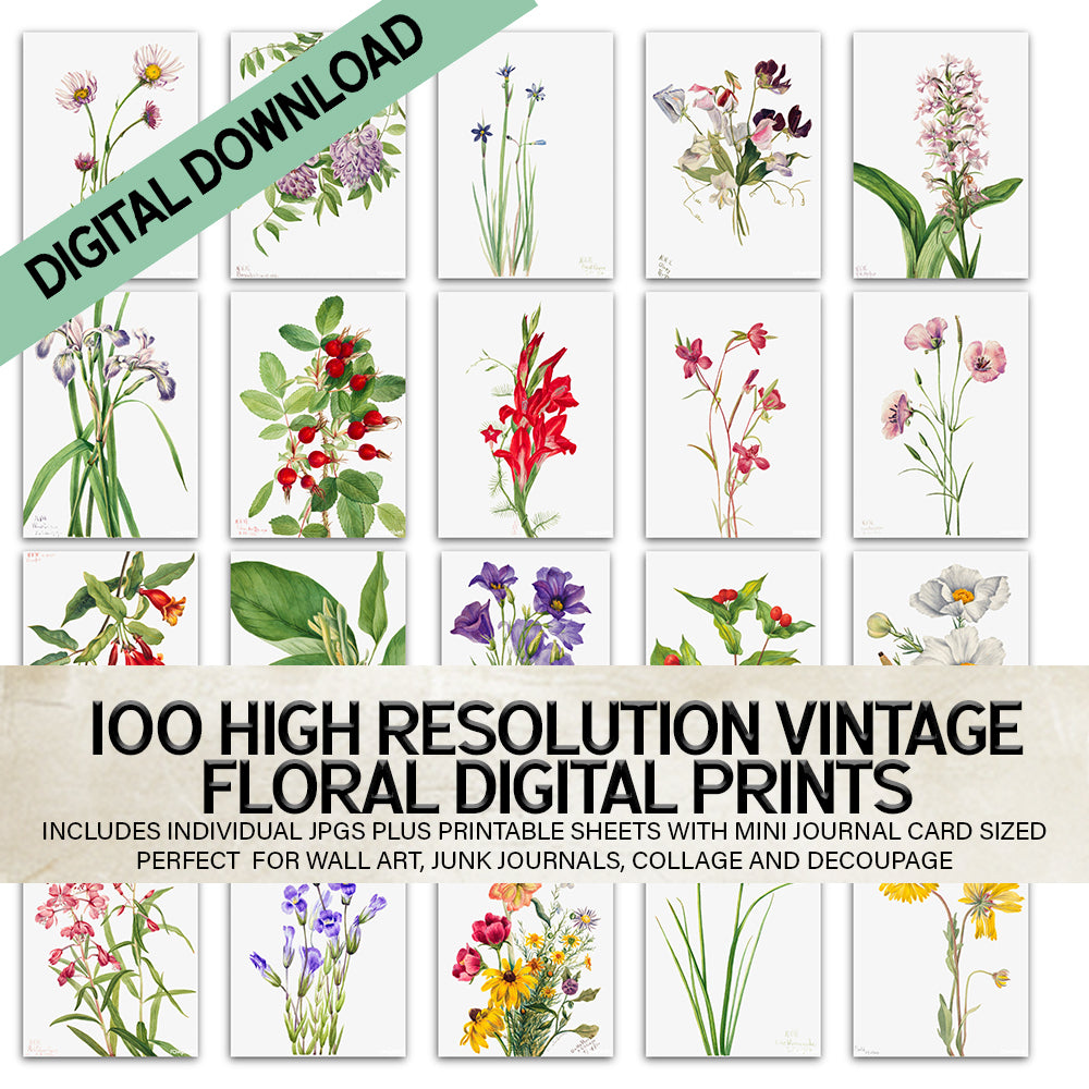 100 Vintage Botanical Floral Prints – Digital Download