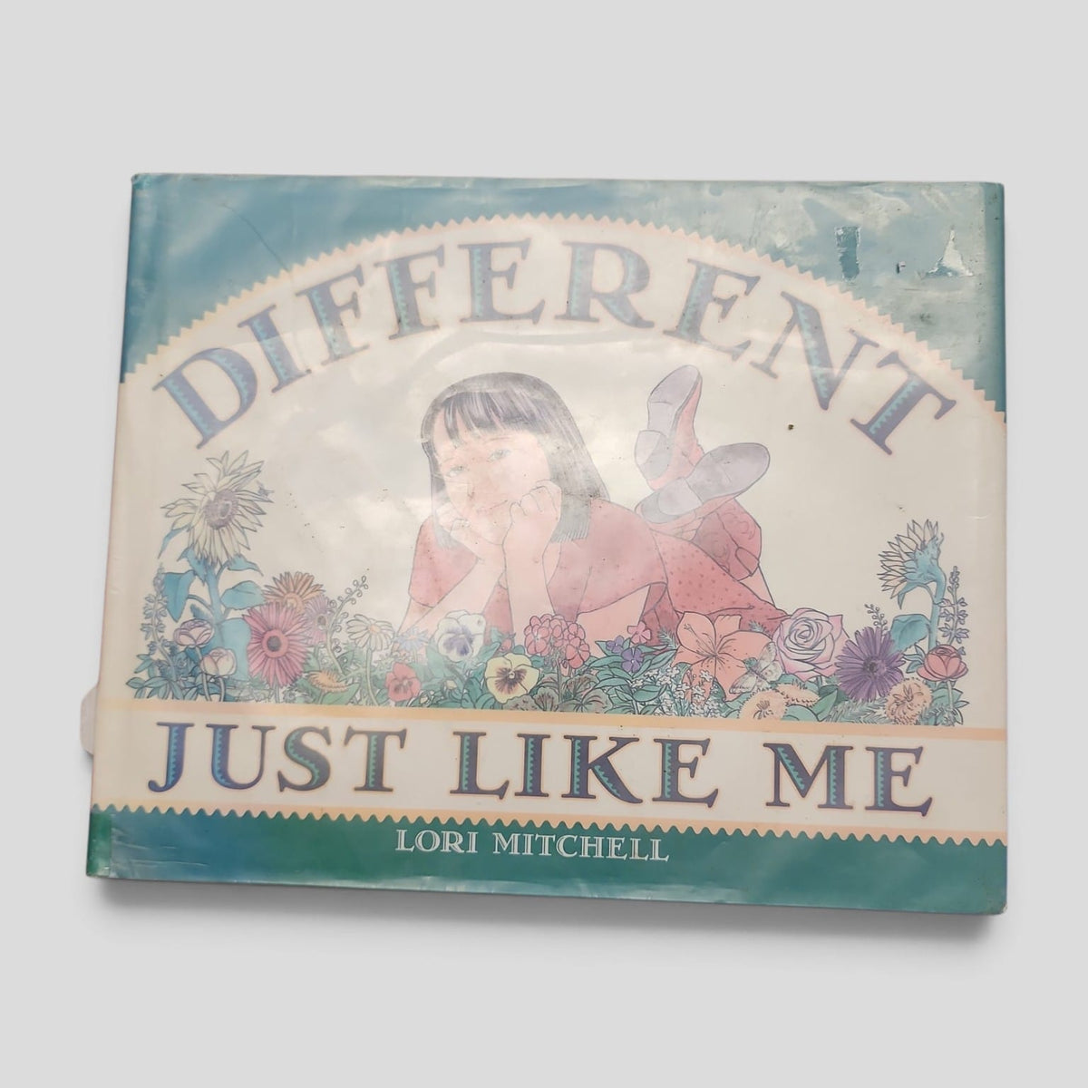 Different Just Like Me by Lori Mitchell cover