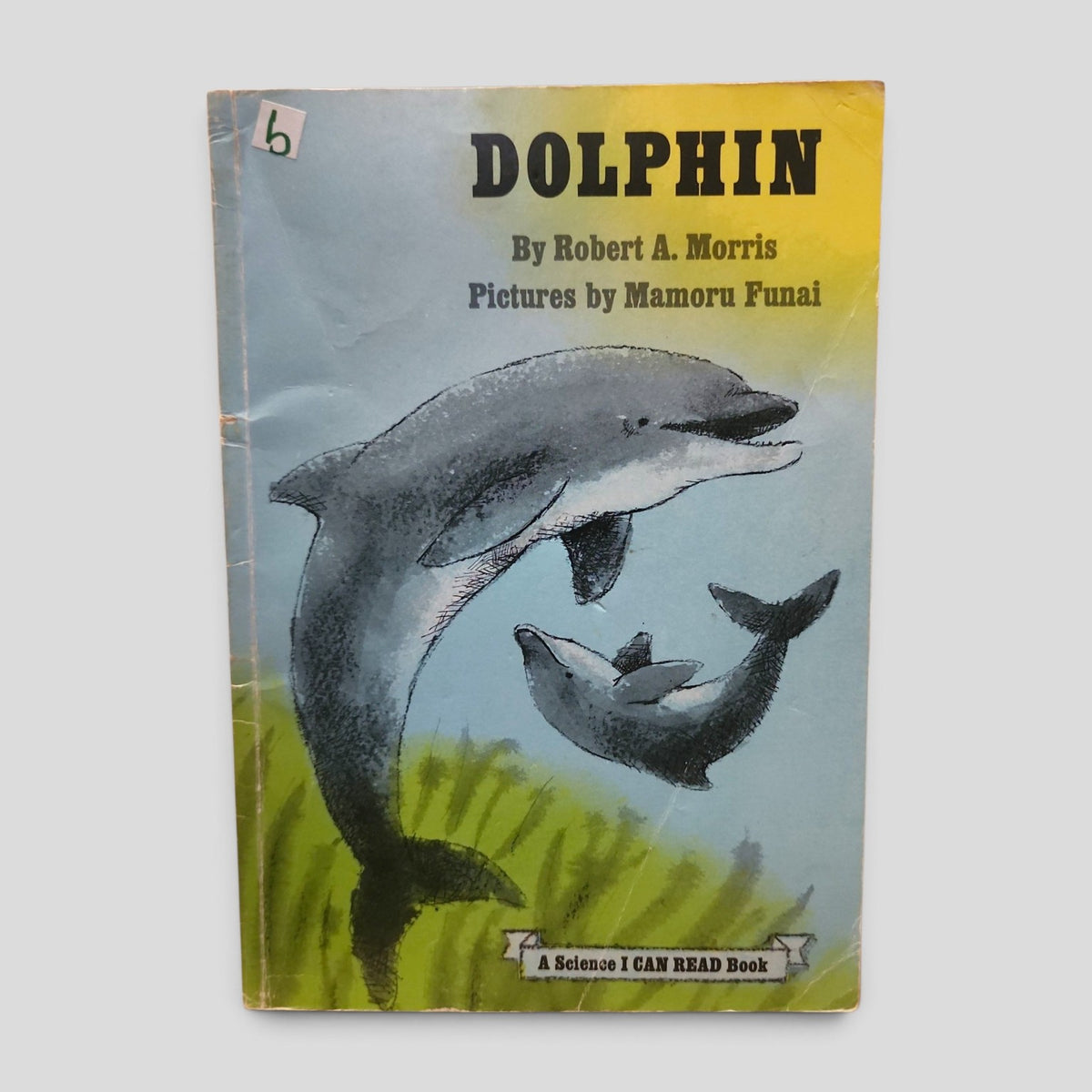 Dolphin by Robert A. Morris, pictures by Mamoru Funai - vintage paperback cover