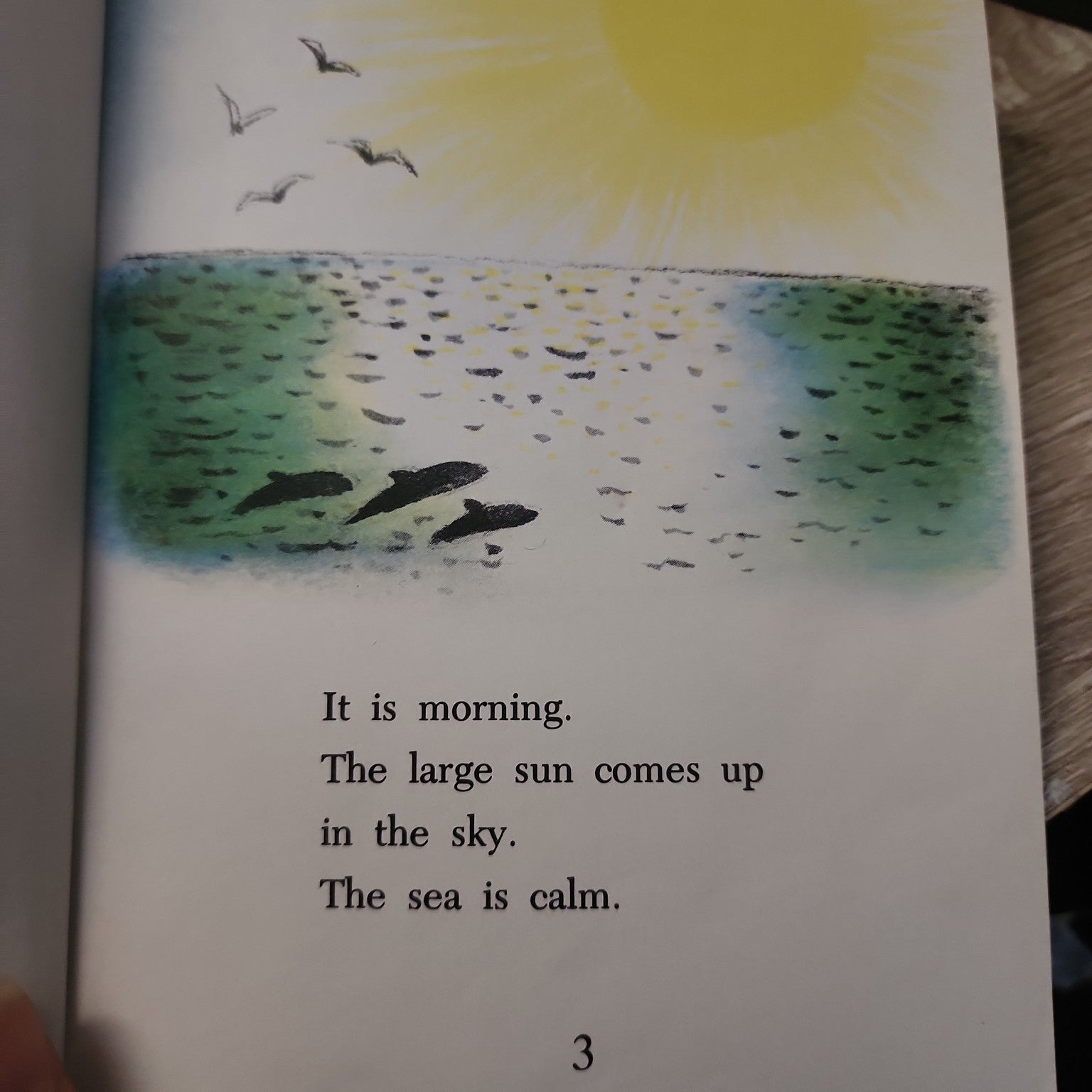 Dolphin by Robert A. Morris - interior illustrated page
