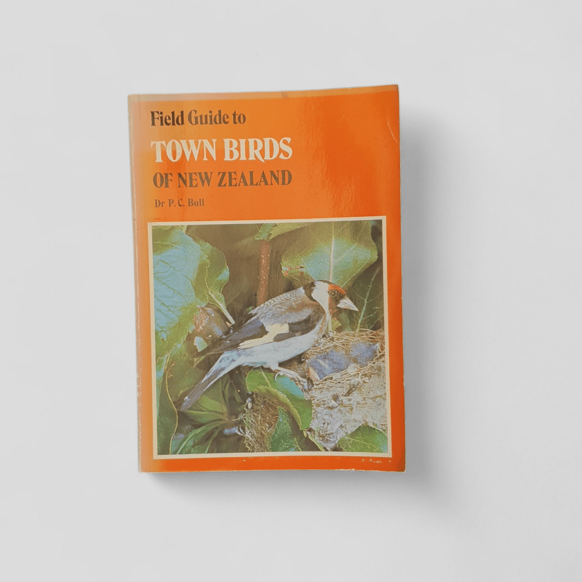Field Guide to Town Birds of New Zealand by Dr P. C. Bull - Books Worth Keeping
