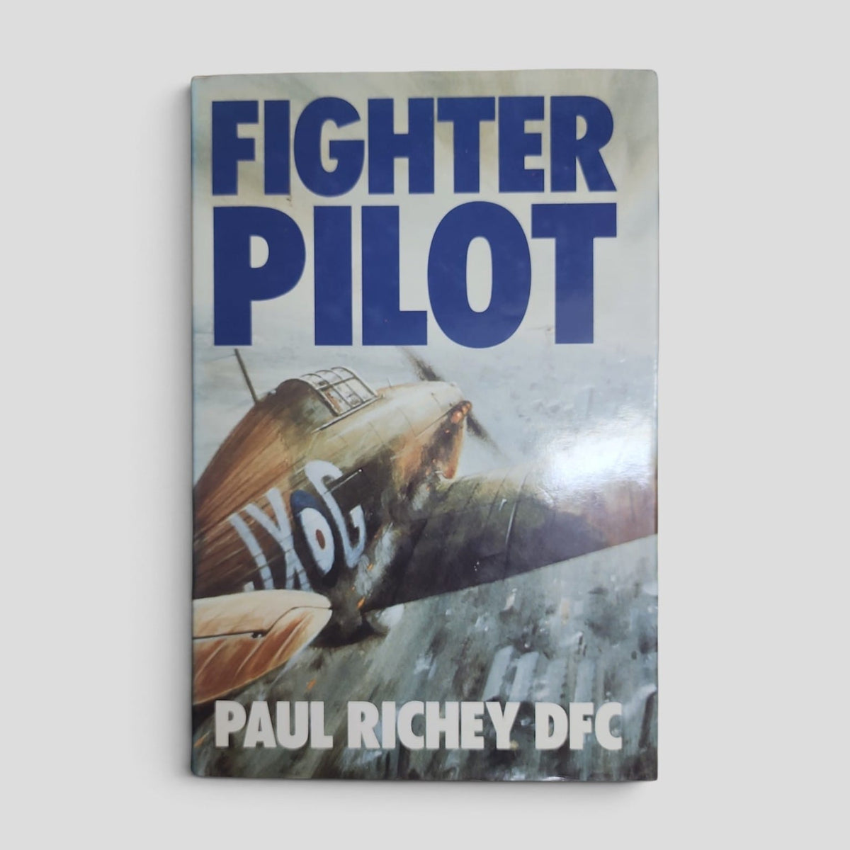 Fighter Pilot by Paul Richey