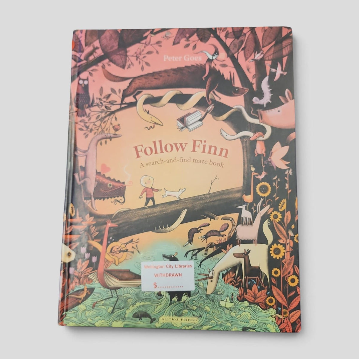 Follow Finn by Peter Goes front cover